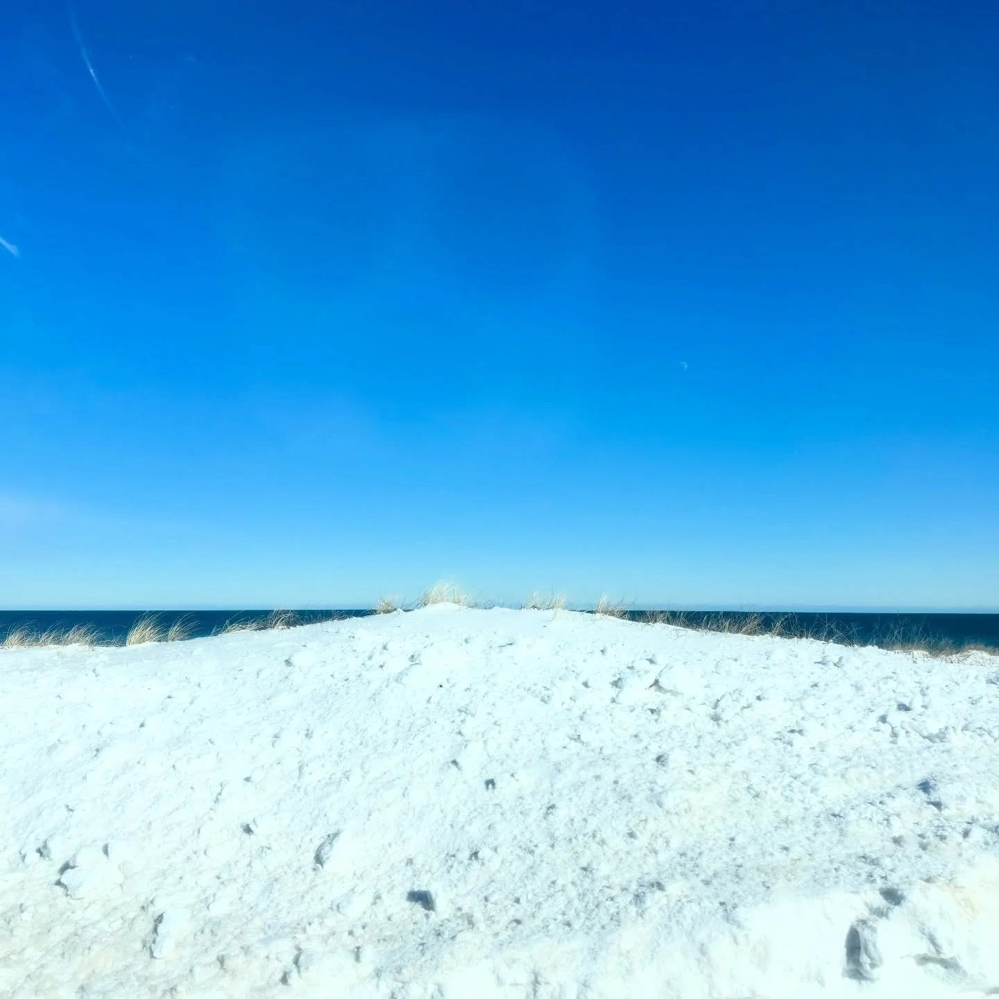 Wintering is looking a lot like this 🔥❄️☀️🌱
.
The Sauna is a game changer this year!
.
Create an account to book- link through to our website in bio.
.
#mv #marthasvineyard #wellness #sauna #infraredsauna