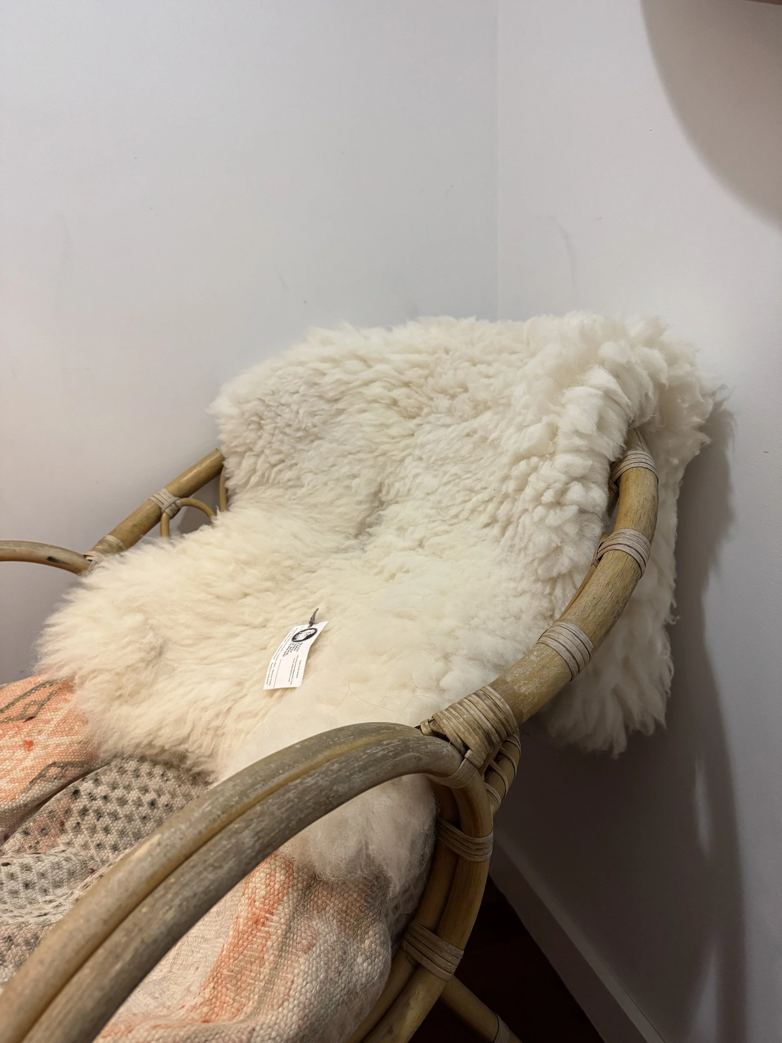 Allen Farm Sheep skin 1,2.jpg