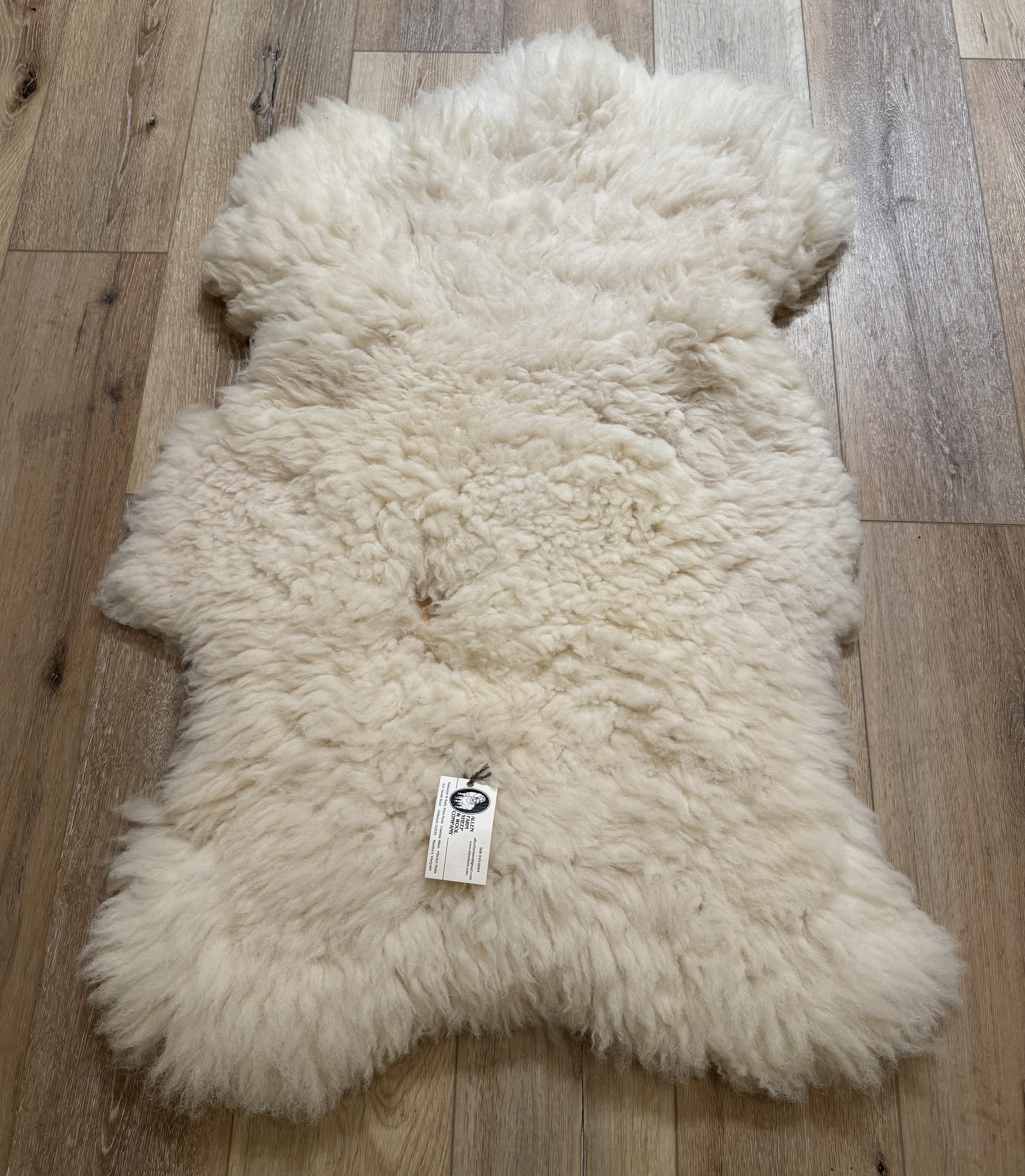 Allen Farm Sheep skin 1.5.jpg