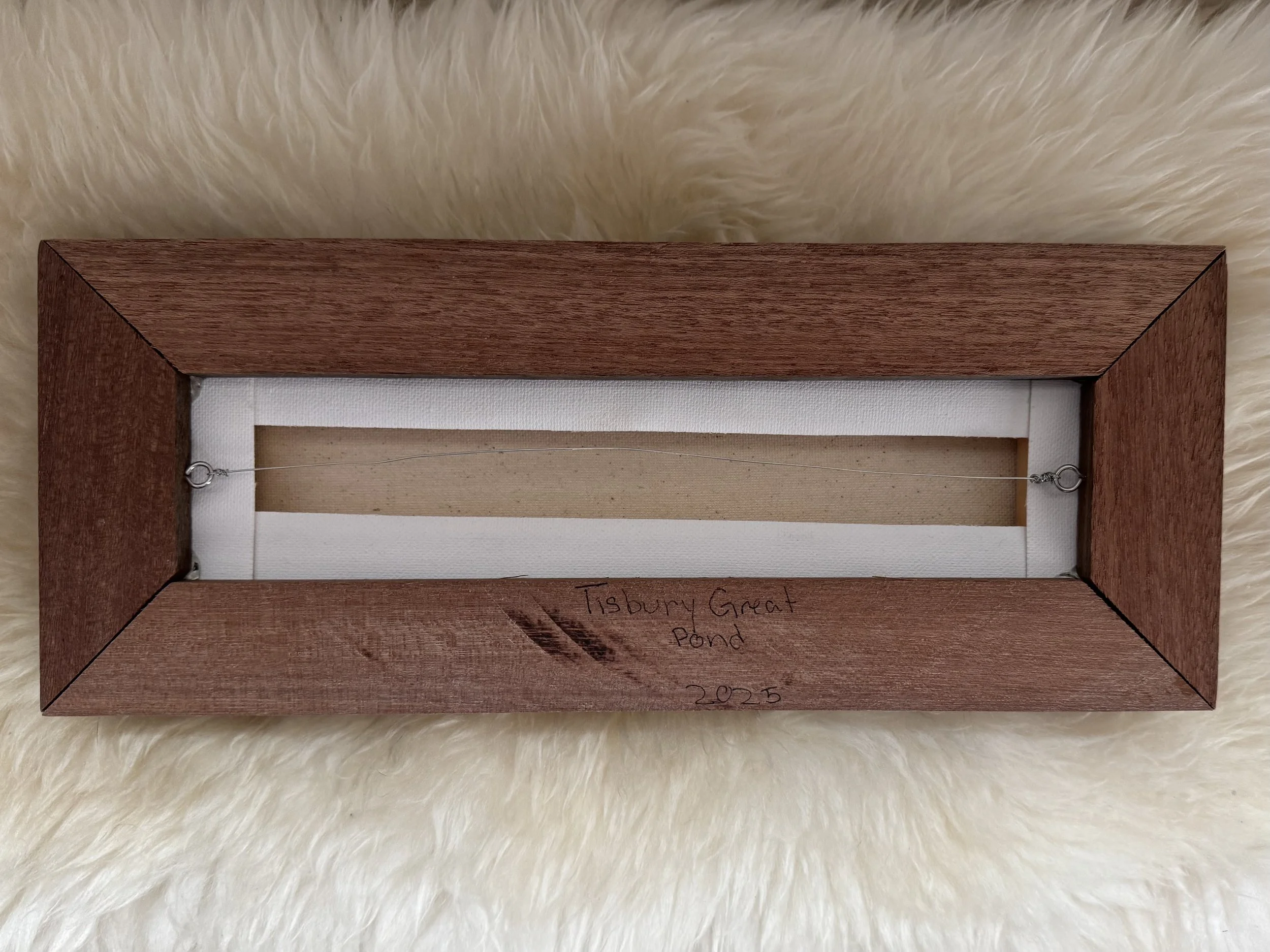 Tisbury Great Pond Back.jpg