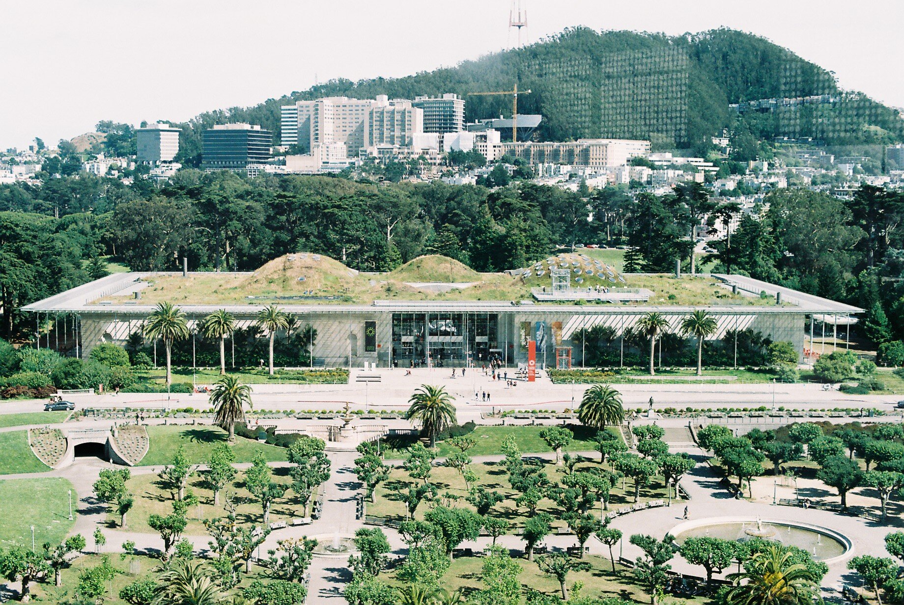 California Academy of Sciences, San Francisco