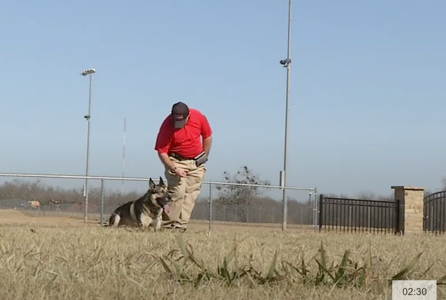 Veteran gives back by training 'Battle Buddies' for those in need.
