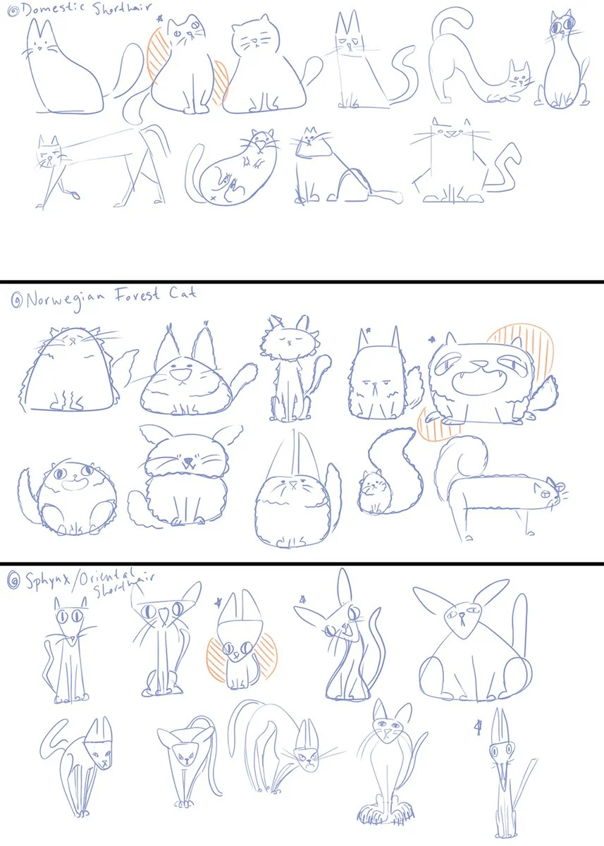 catspot-sketch_lowres.jpg
