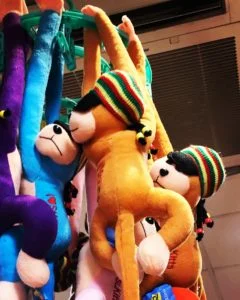 IMG_3367-240x300.jpg