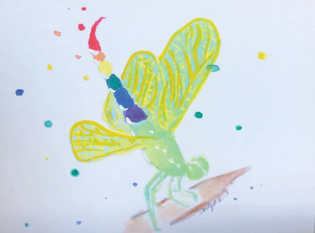 dragonfly.jpg