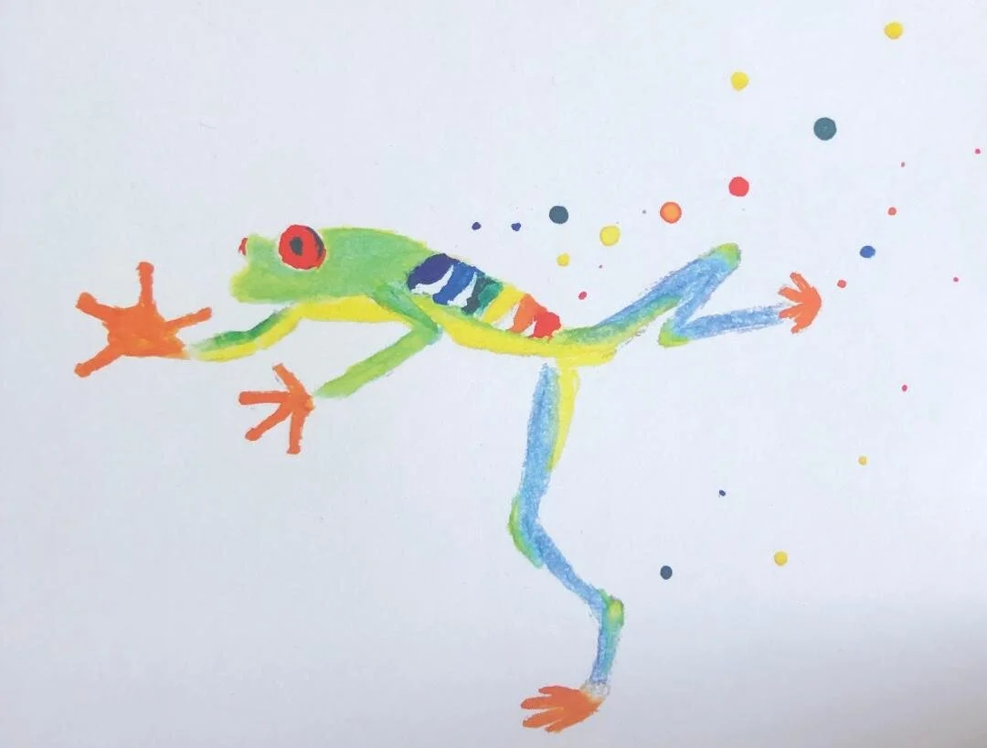 red eyed tree frog.jpg