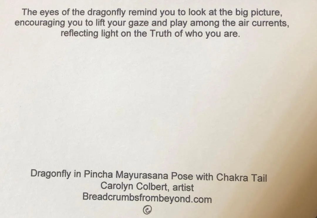 dragonfly back.jpg