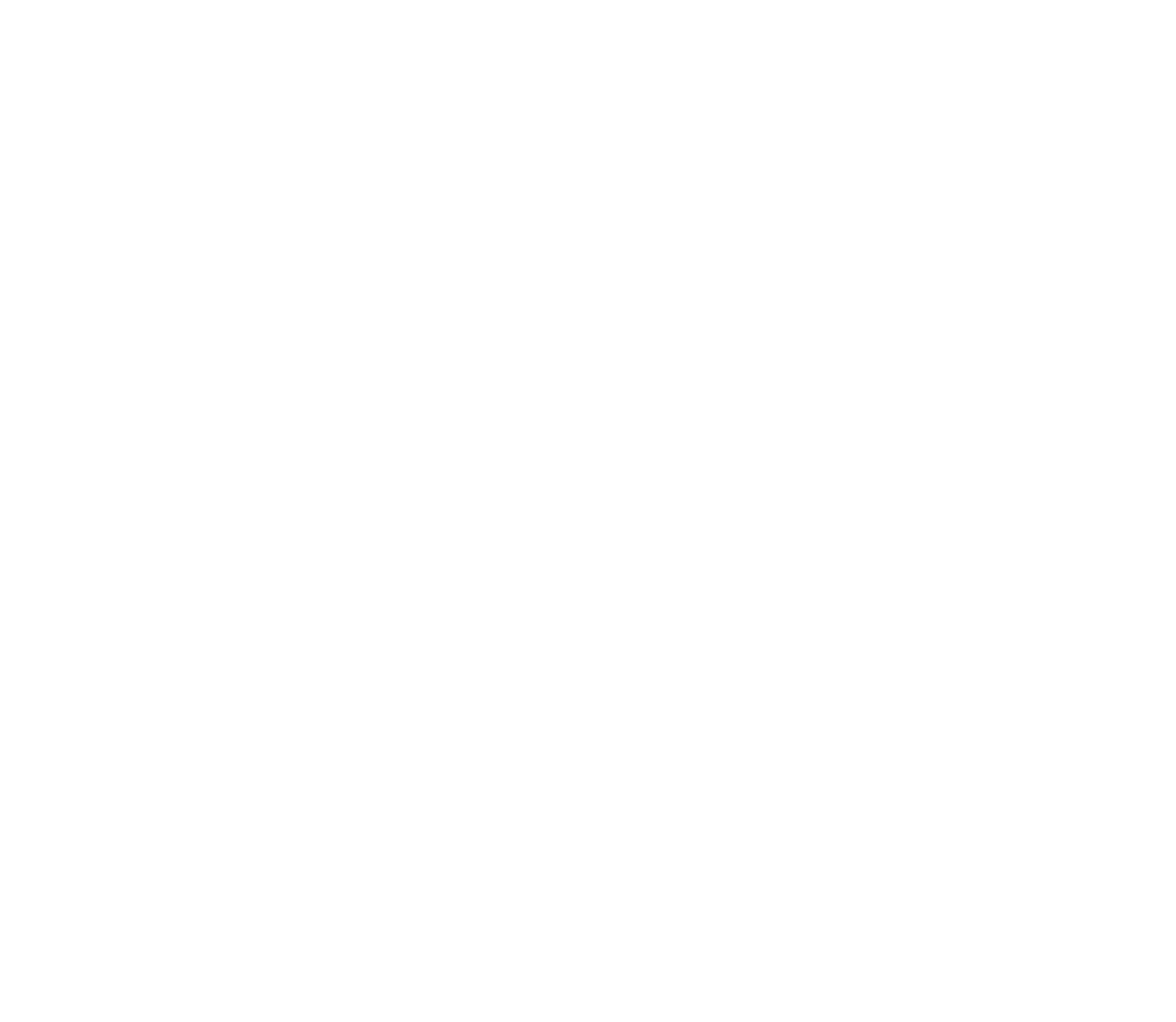 united shades of america logo_white.png