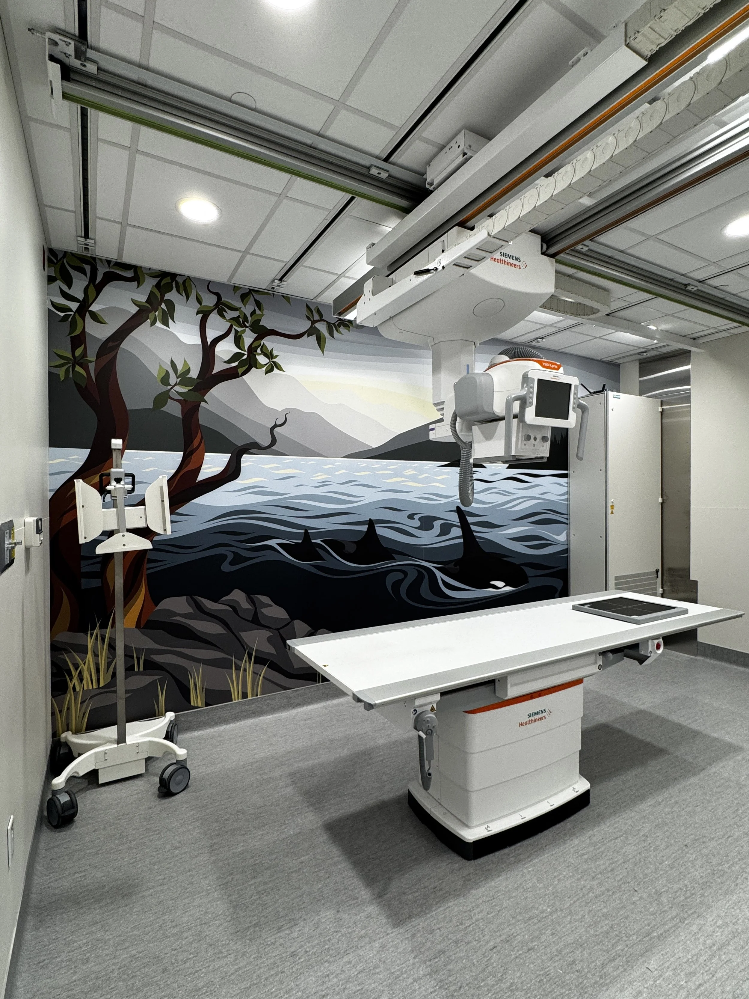 SPH Xray (1).jpg