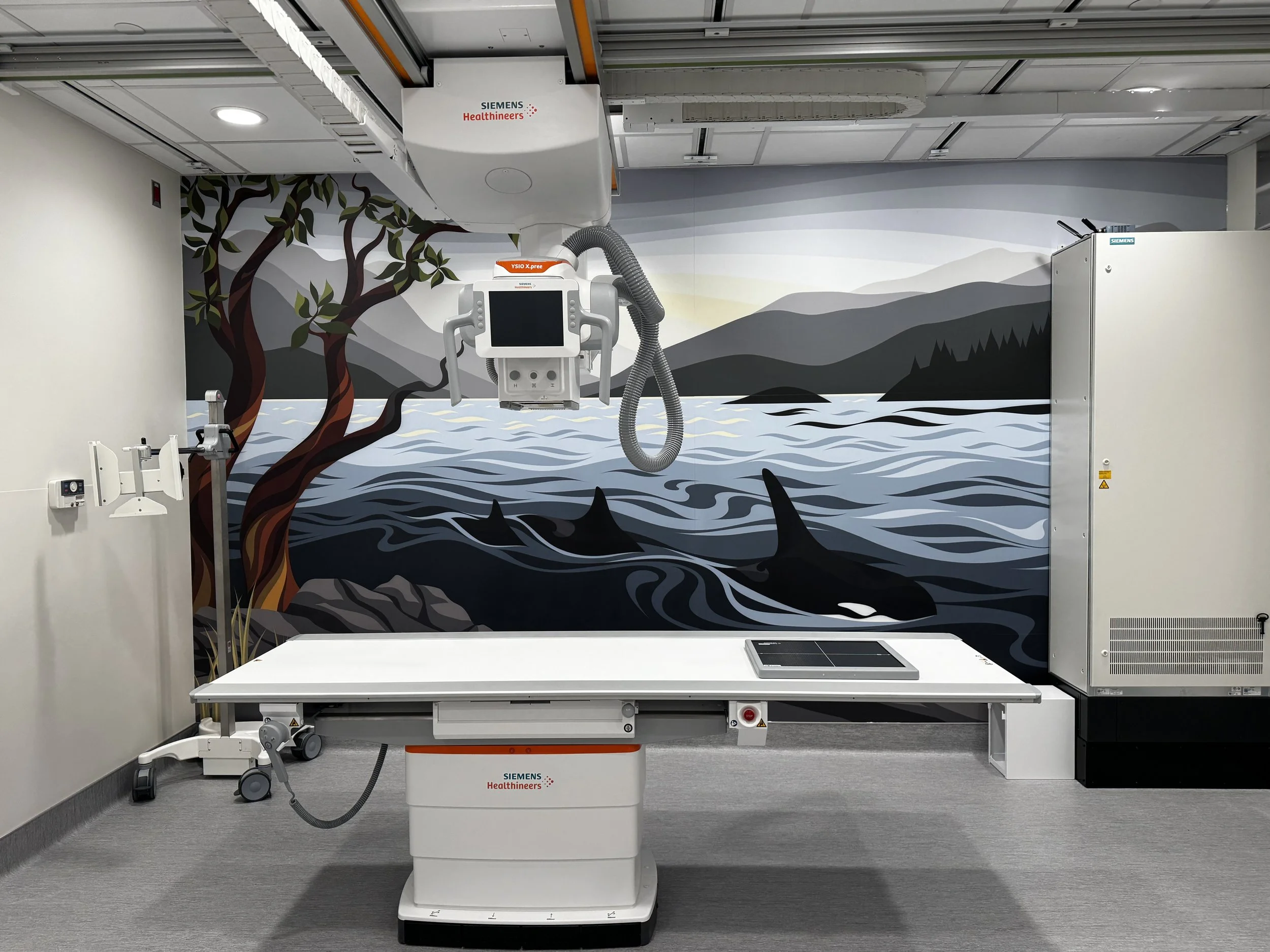 SPH Xray (2).jpg