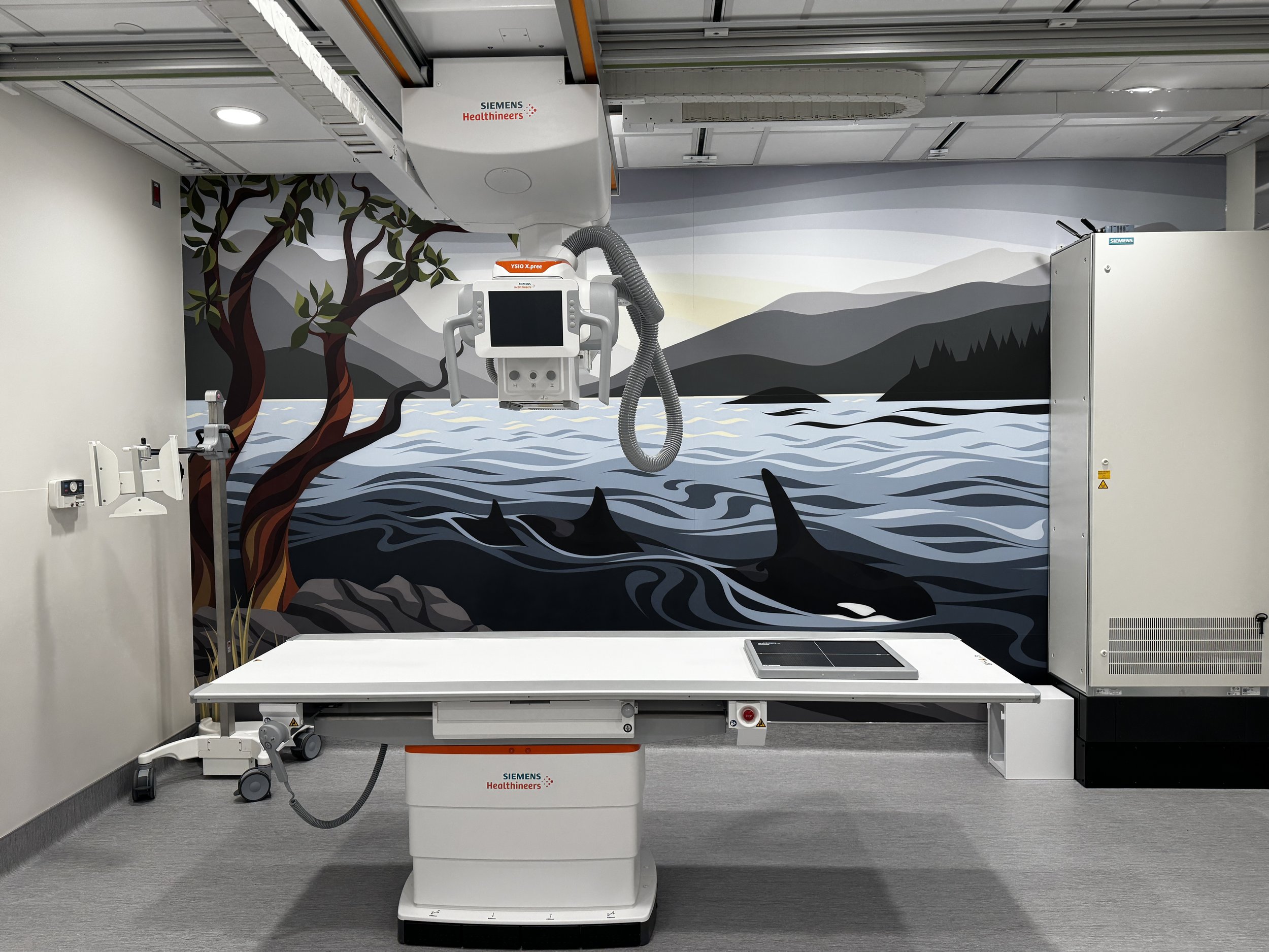 X-Ray Room Renovation