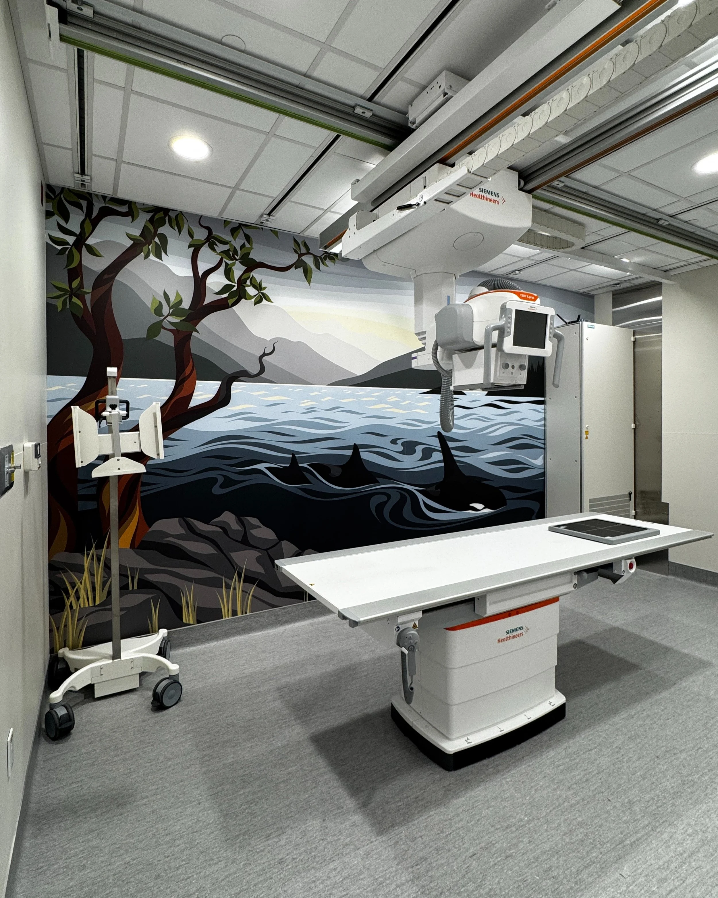 Continuum worked with Island Health on an X-ray equipment upgrade and room refresh. Artwork by @art_by_di brings warmth to the space.