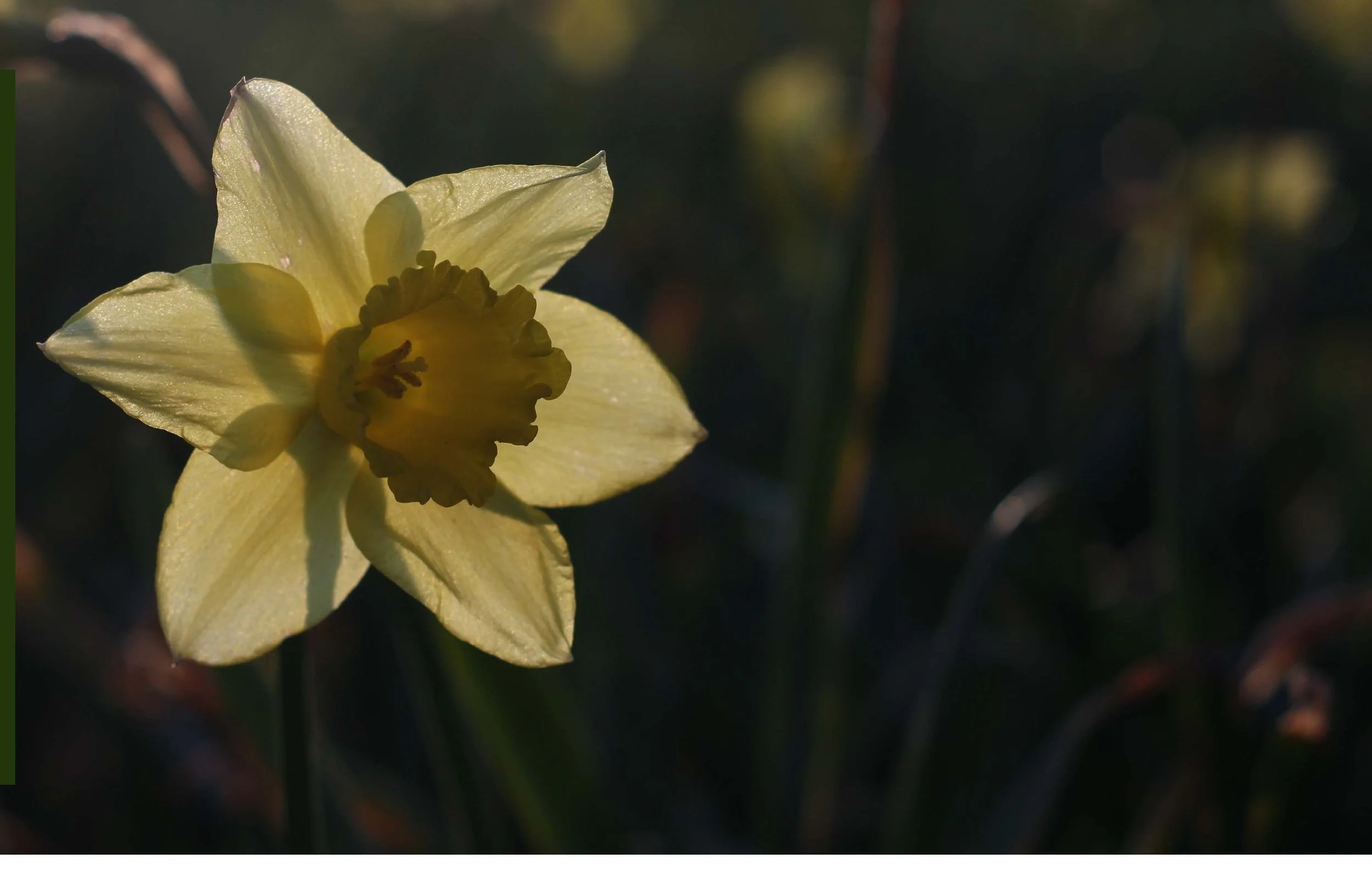 Speak to the Horizon Poetry Book_Page_17.jpg