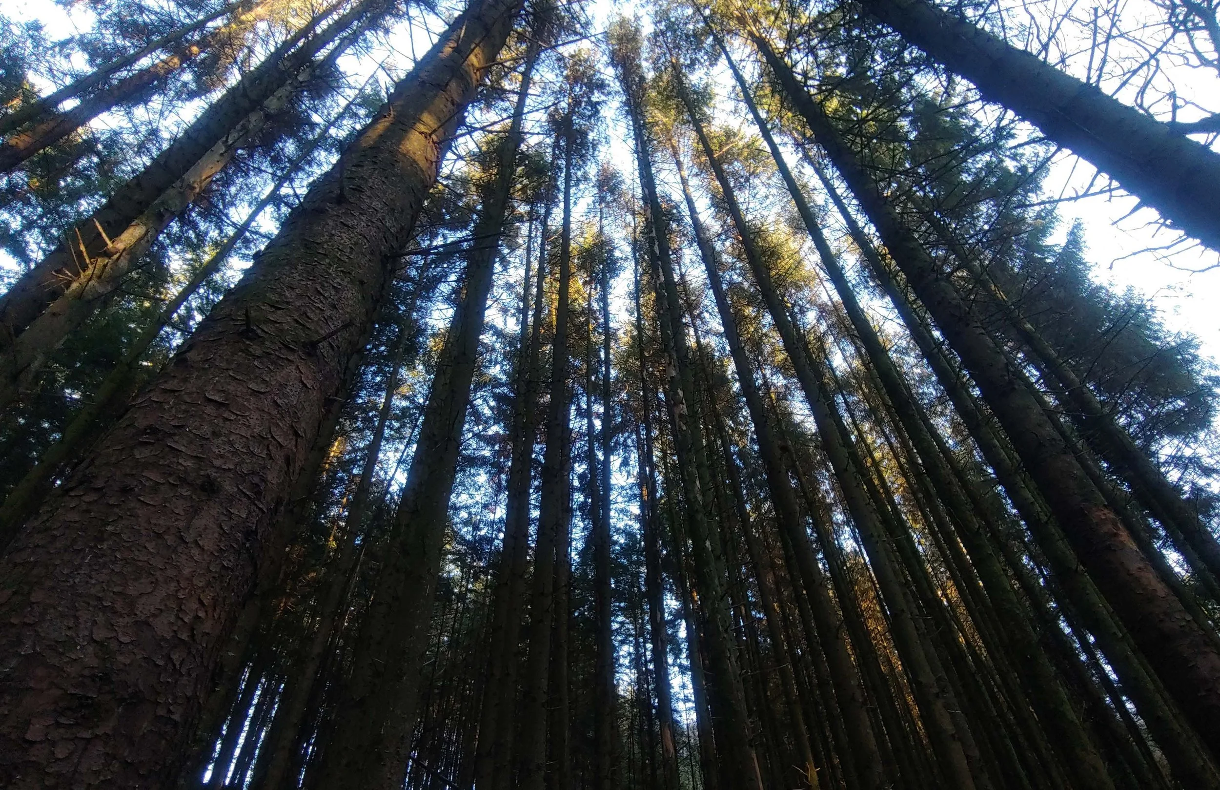 Speak to the Horizon Poetry Book_Page_10.jpg