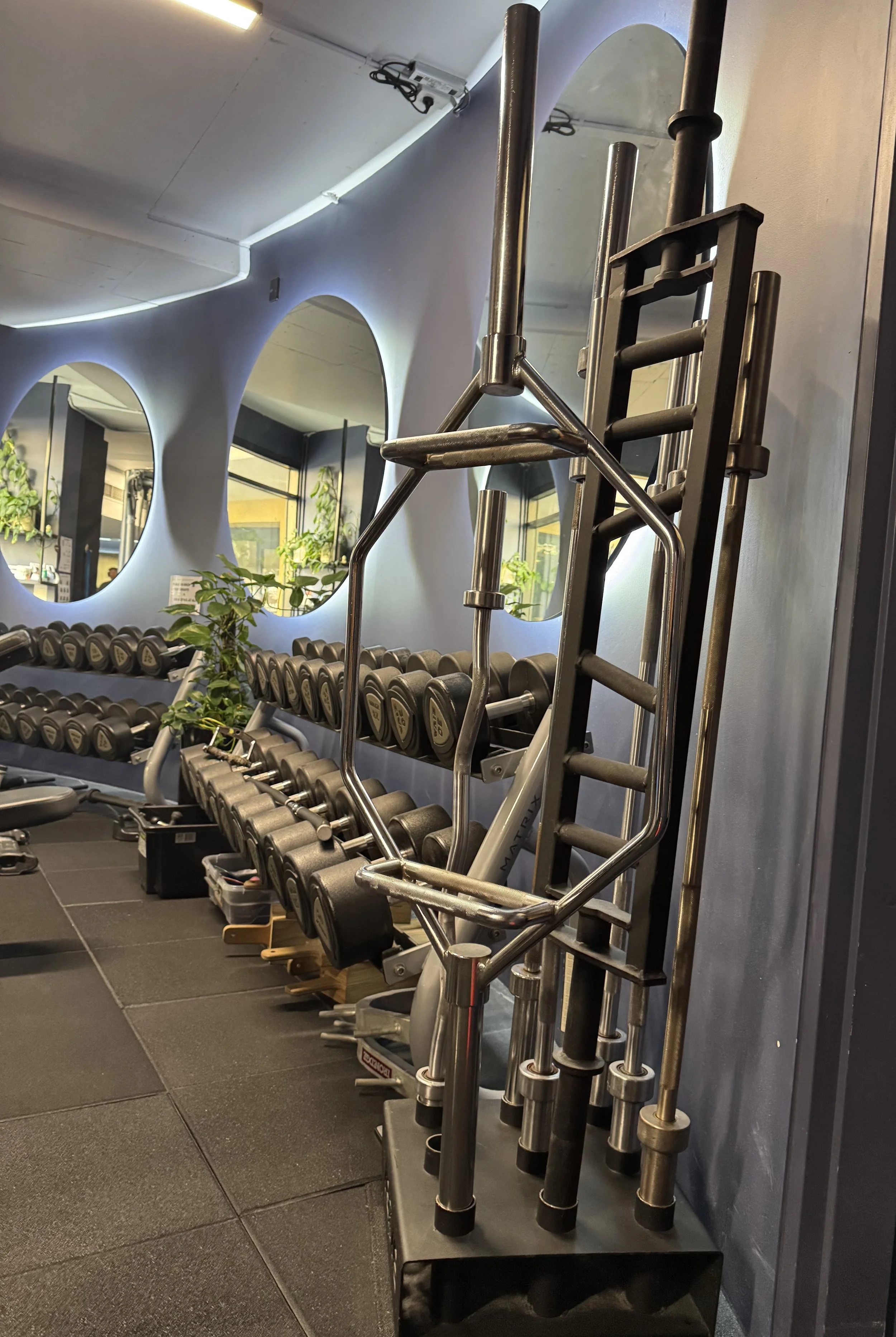 GYM.jpeg