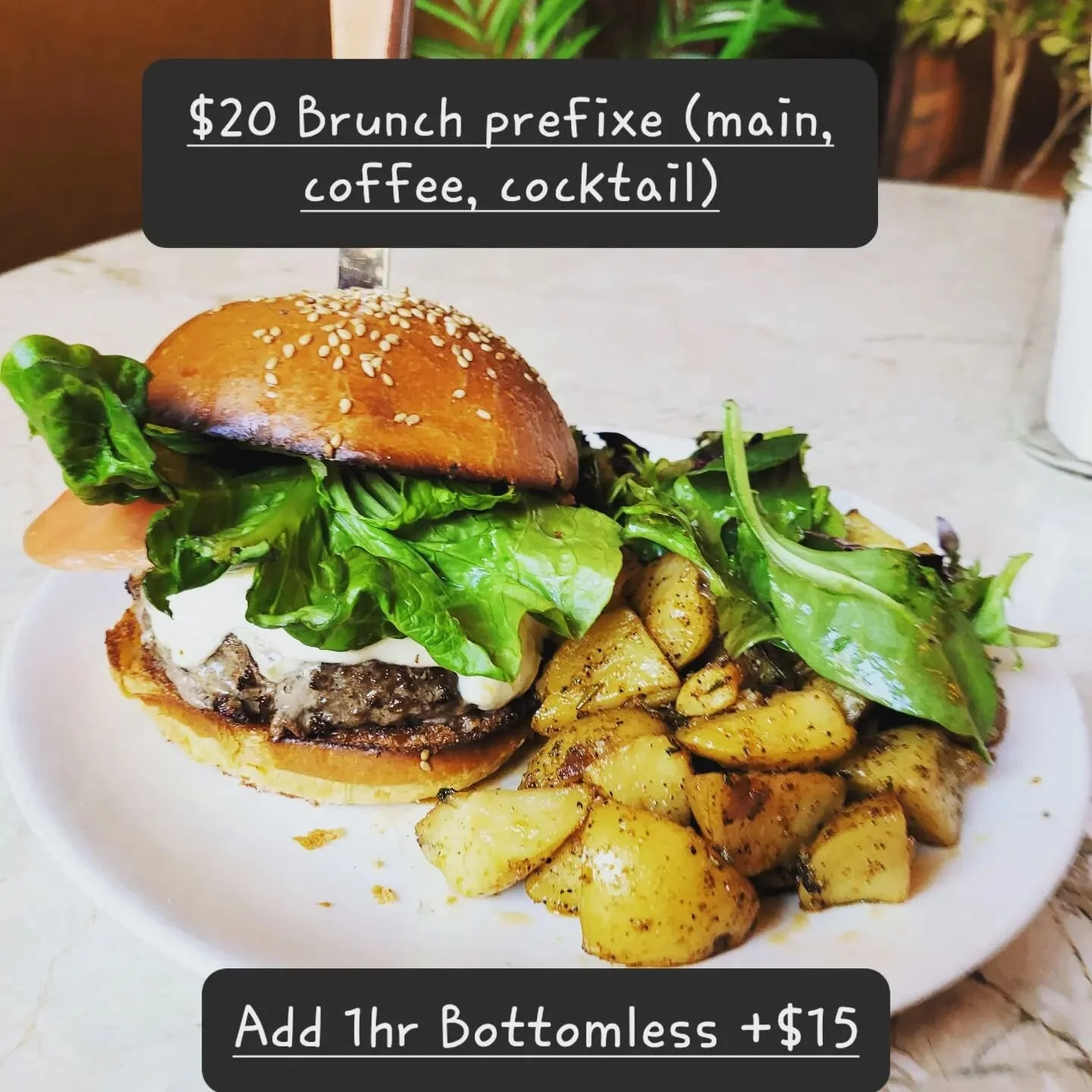 Brunch vibes 12-4 Jazz in the streets w/Julie Zhu 4 to 7. Walk ins 🙏 reservations 5+ visit pizzettebk.com