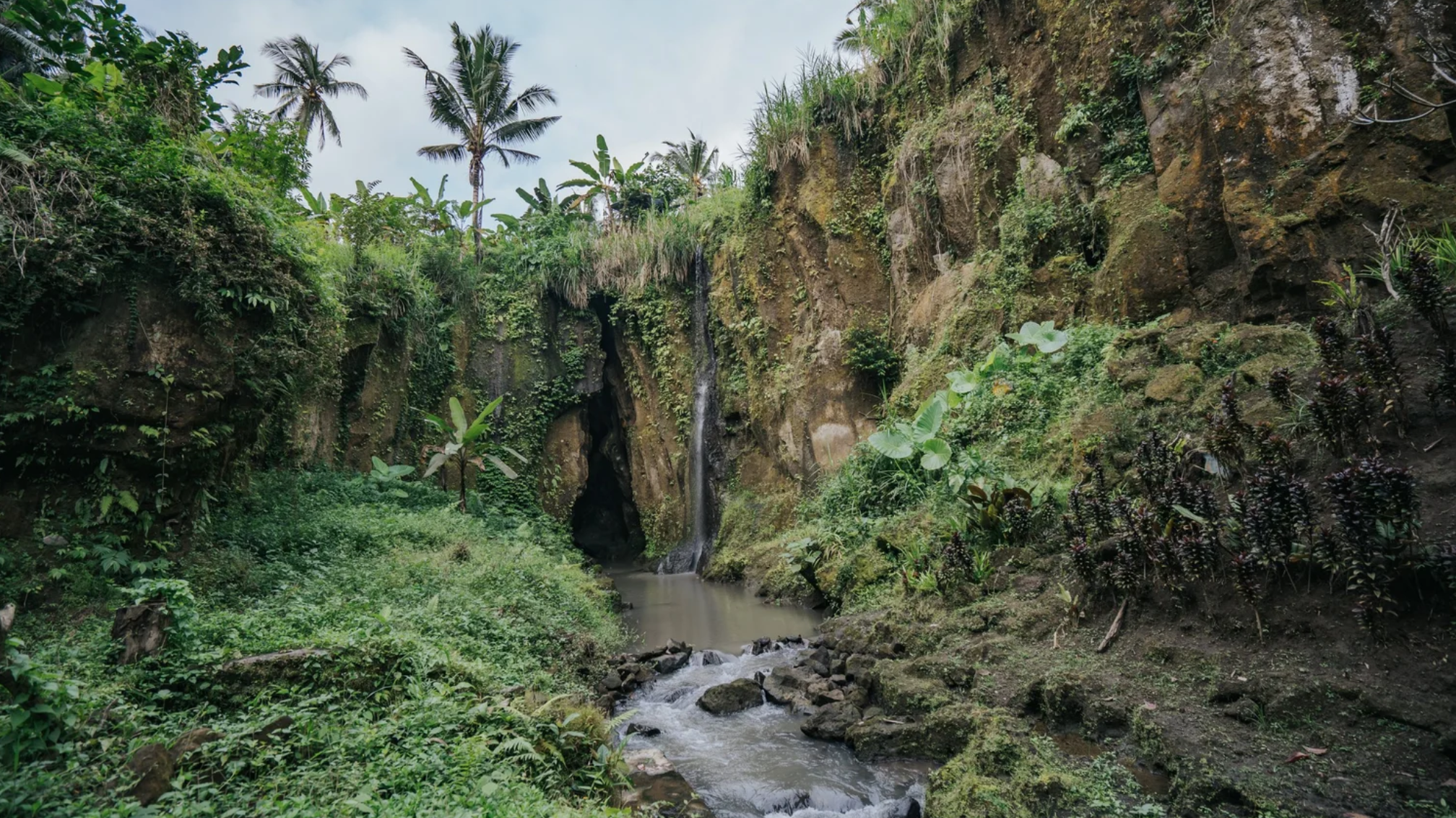 Screenshot 2026-01-30 at 14.04.05.png