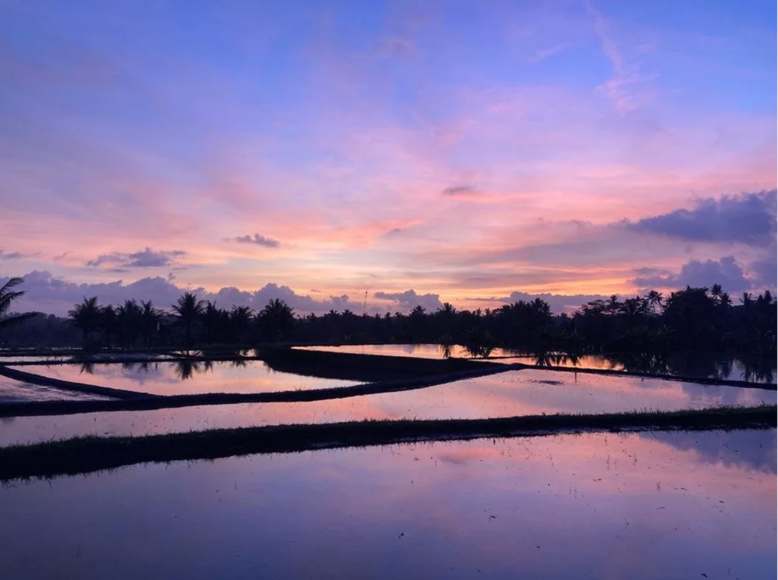 Screenshot 2026-01-30 at 14.02.39.png