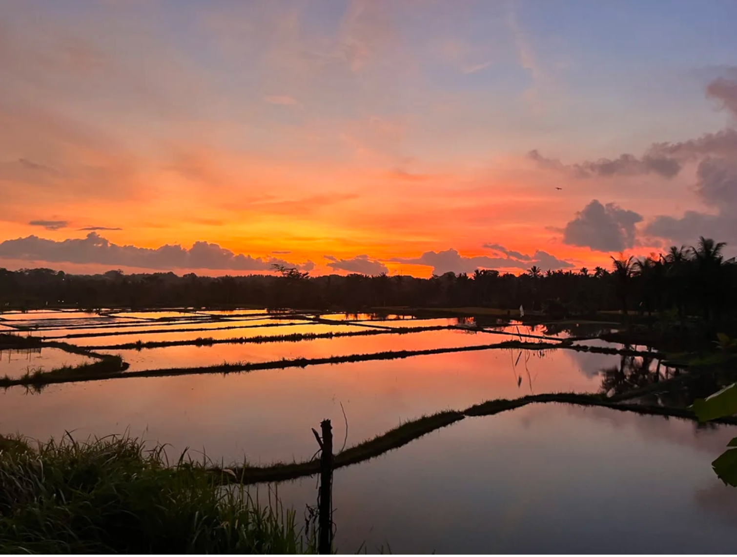 Screenshot 2026-01-30 at 14.03.39.png