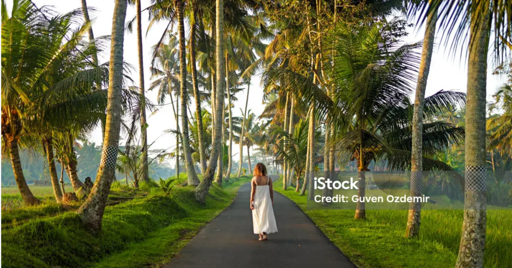 Screenshot 2026-01-14 at 12.17.01.png