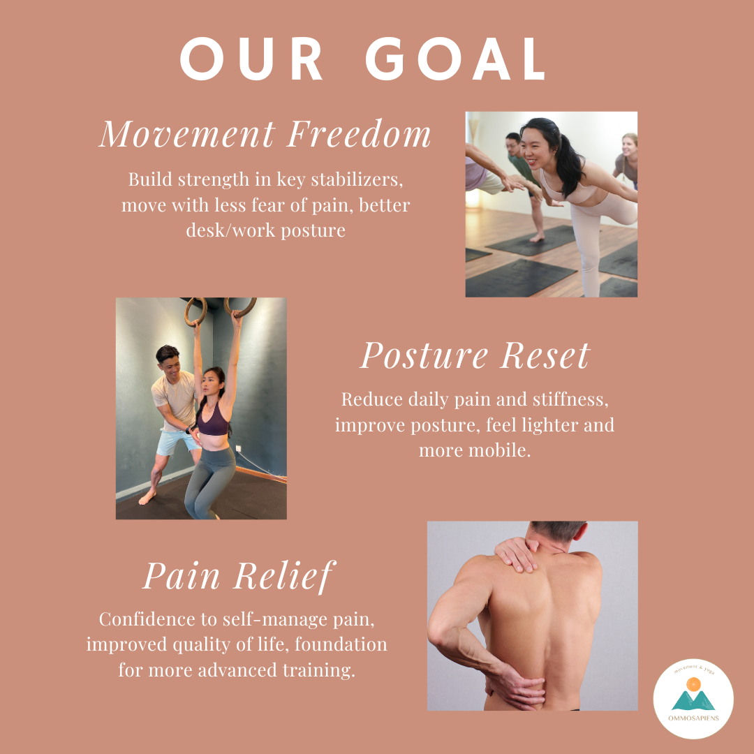 Pain Reset Course 4-Week Pain Reset Program — OMMOSAPIENS