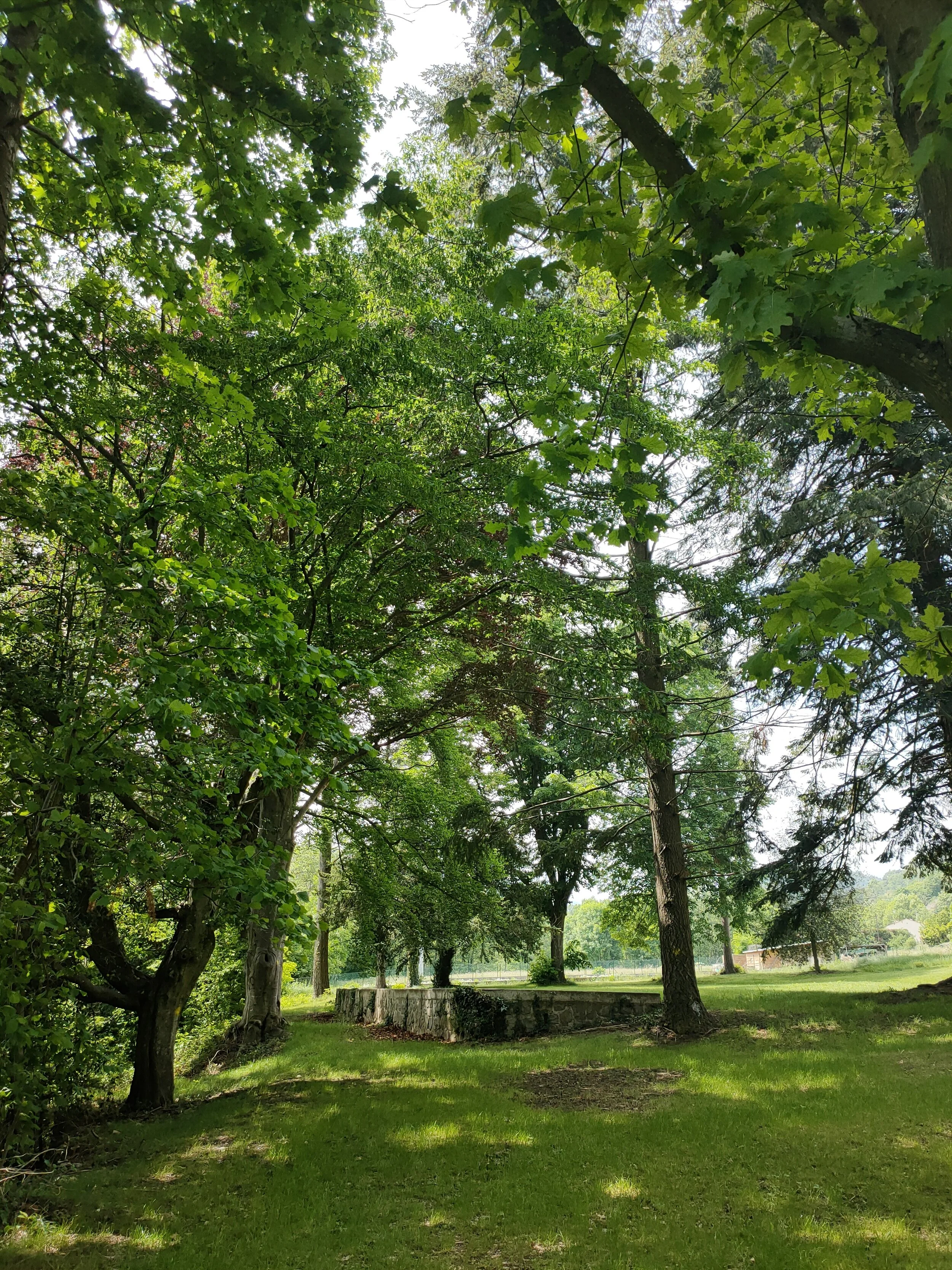 IMG20200516122153.jpg