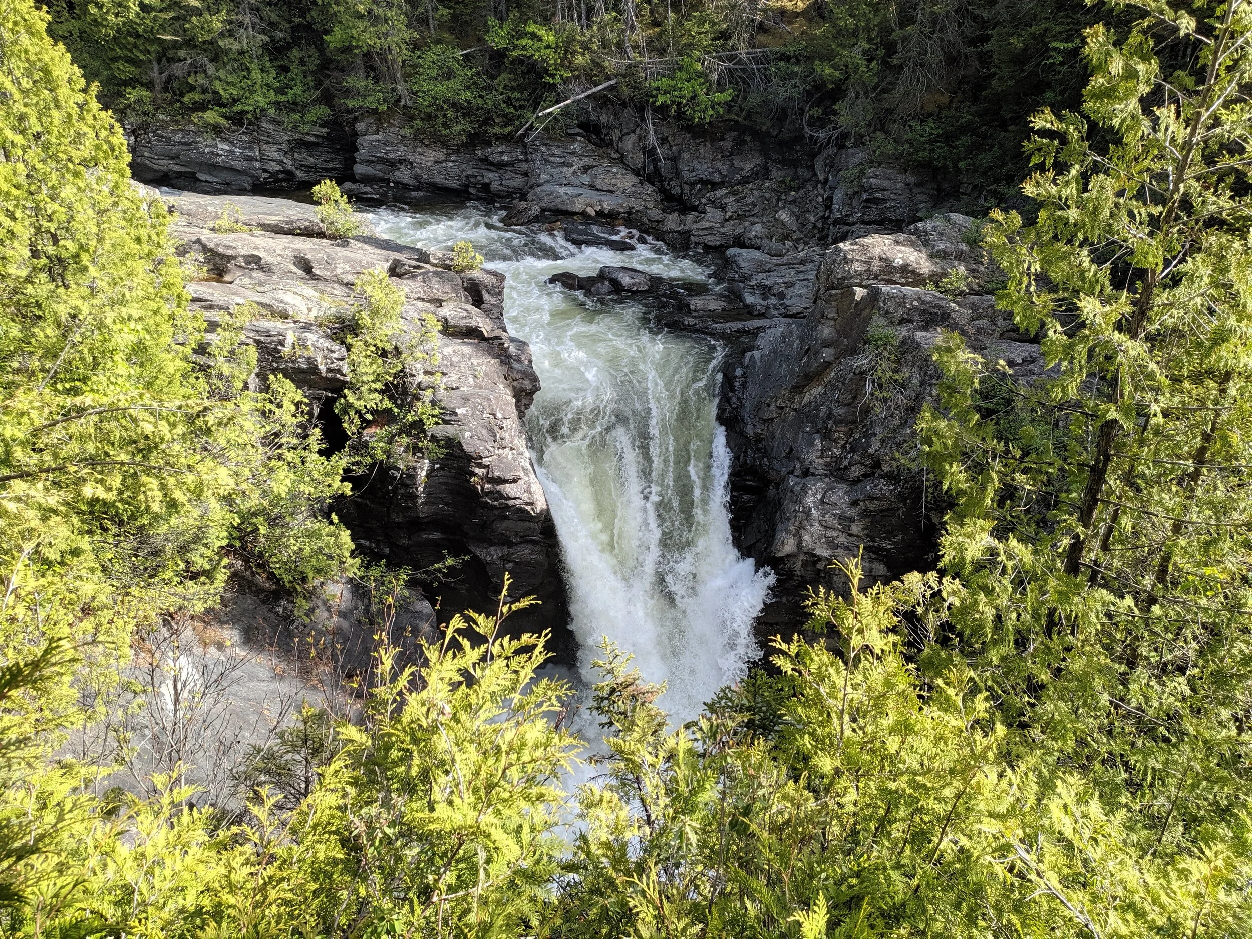 IMG_20190624_163848.jpg