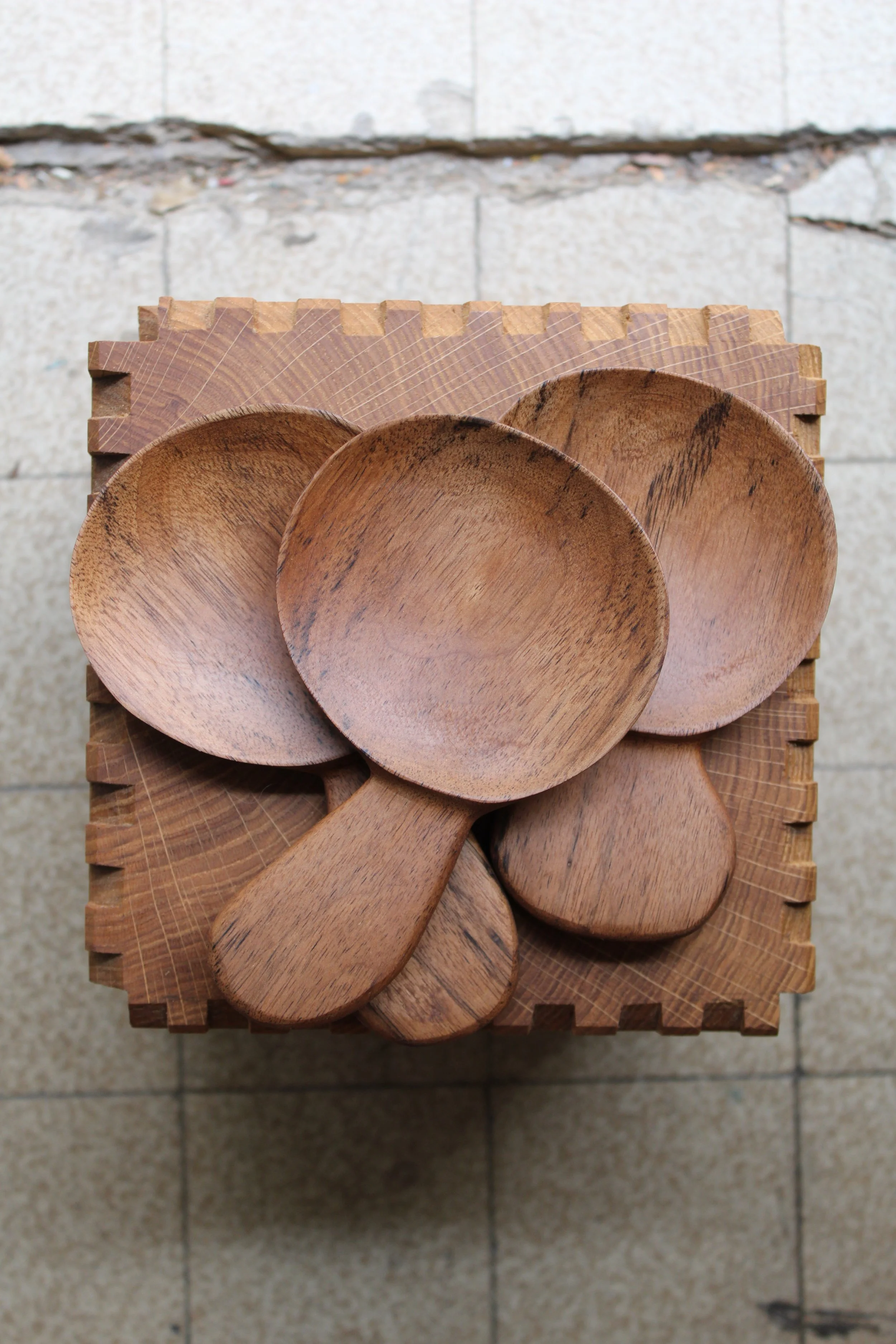 Cuillère à riz noyer 6554865