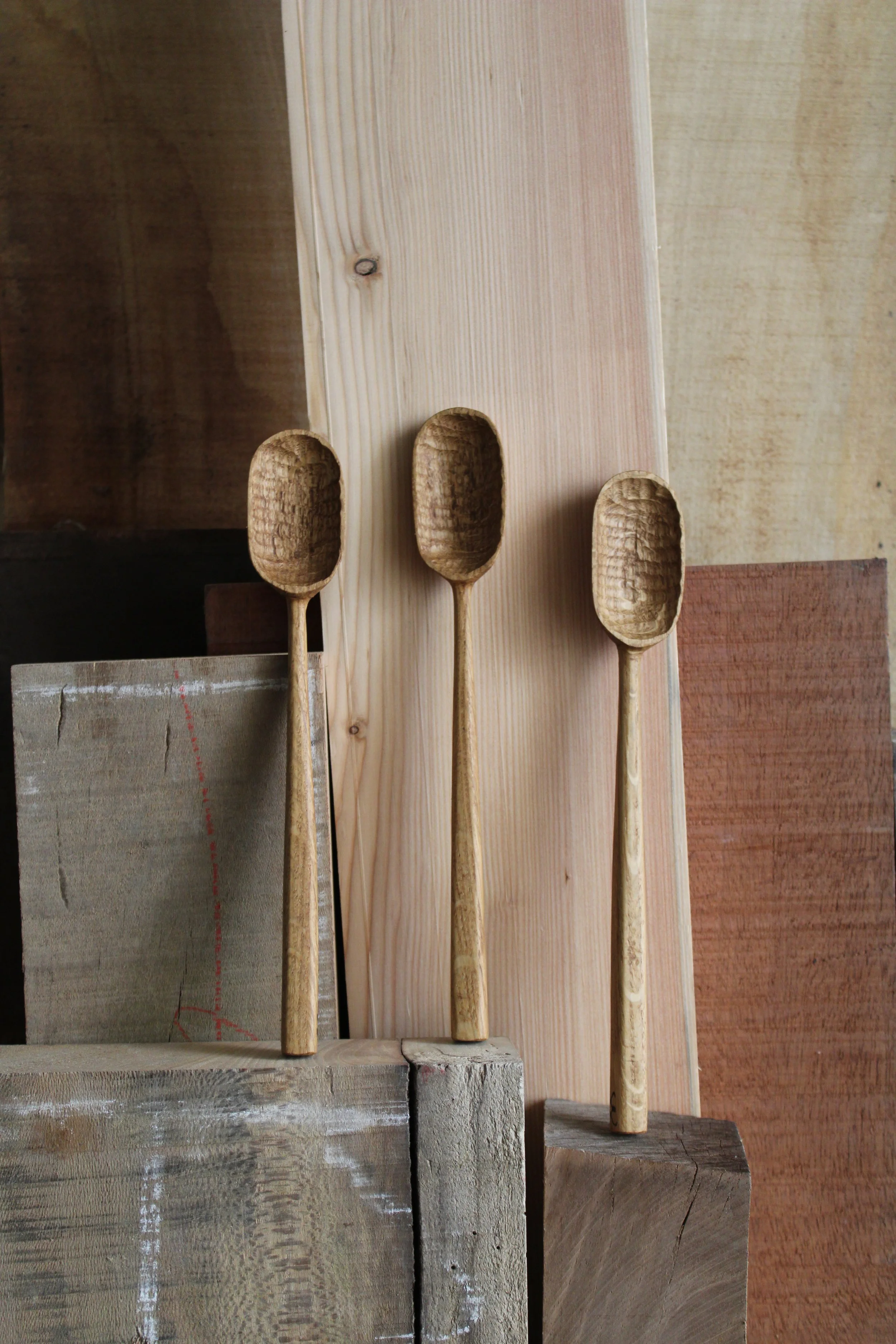 Longues et fines chêne 169