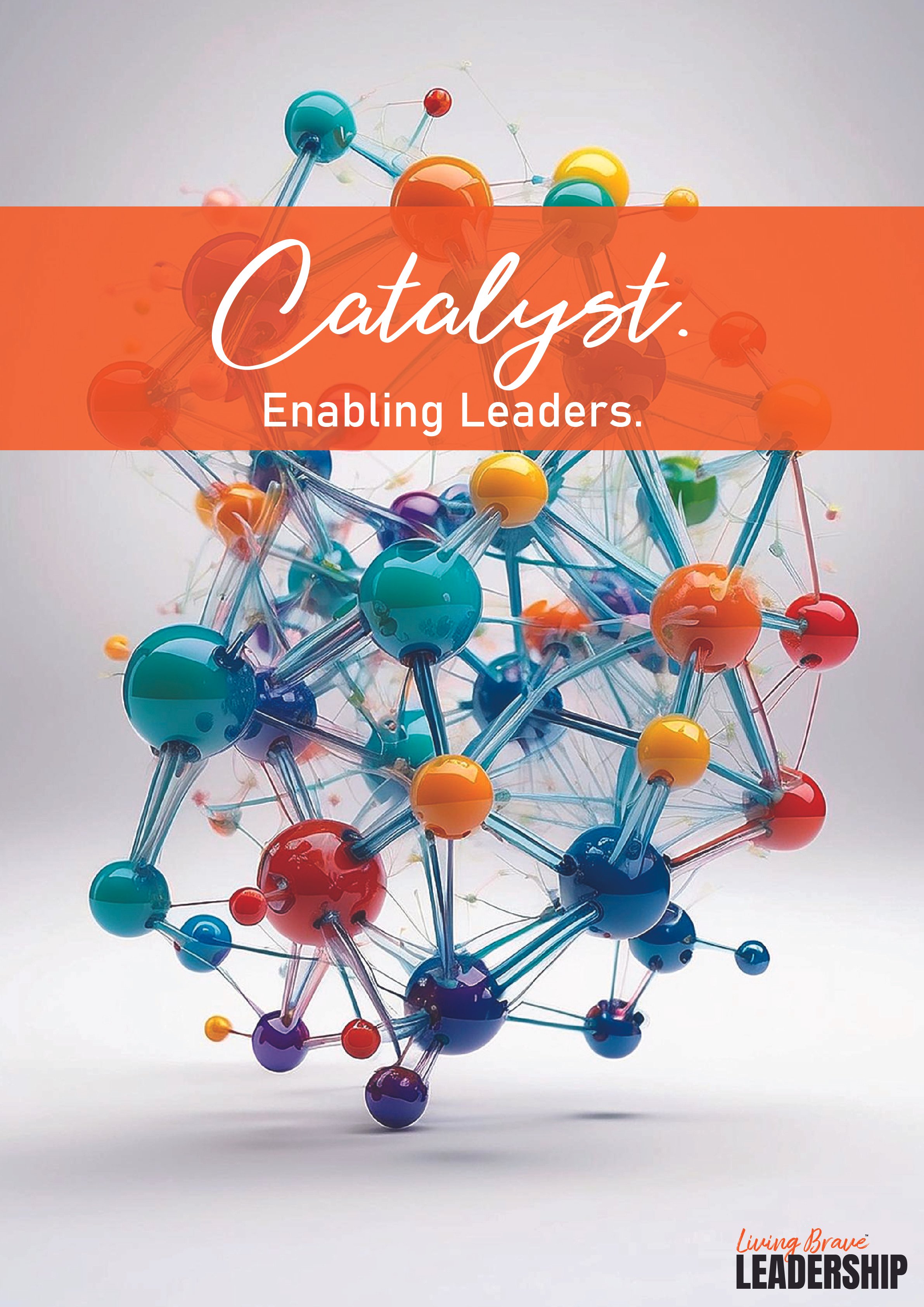 Best Leadership Development programmes and award winning