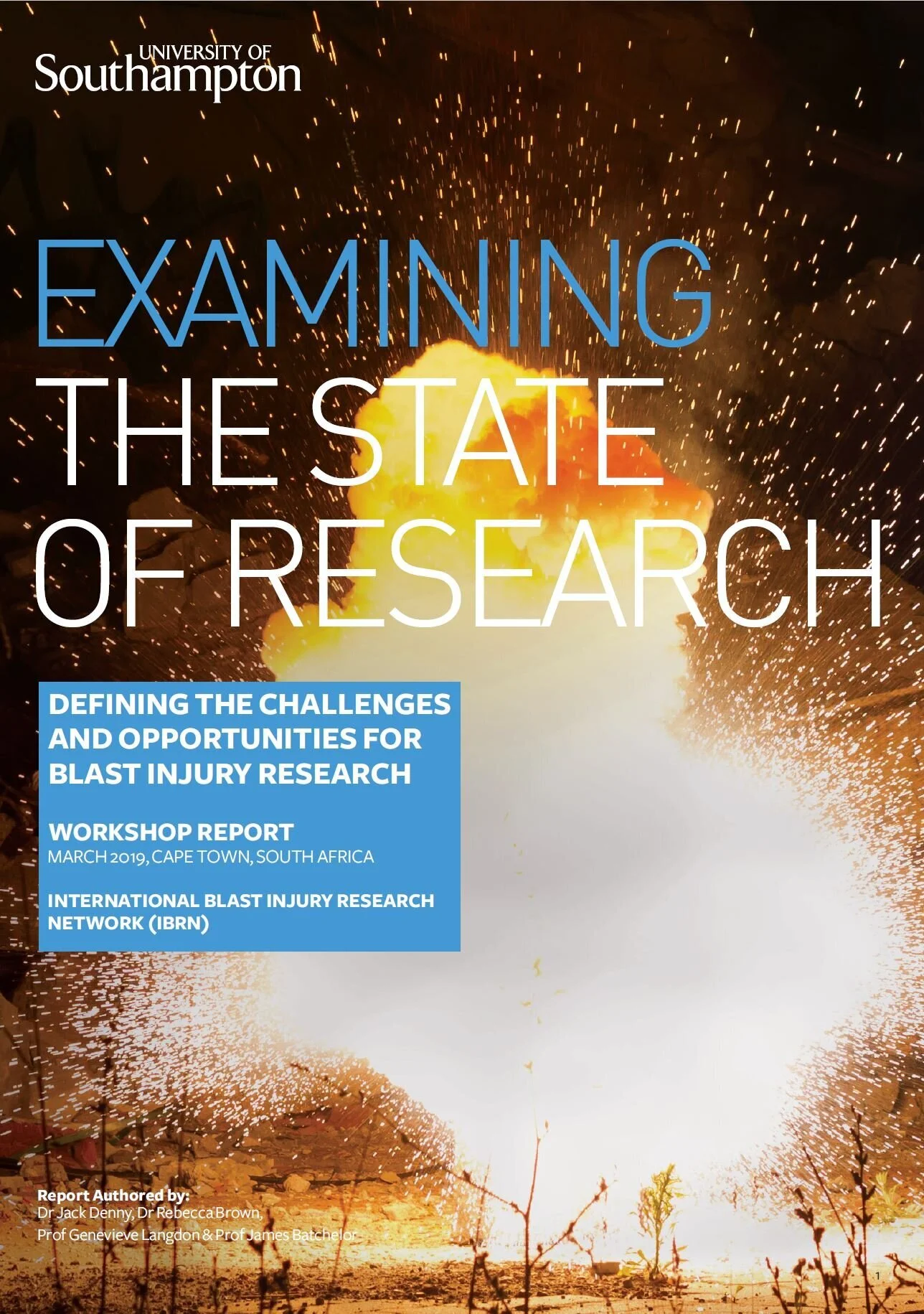 IBRN Workshop Report Available 