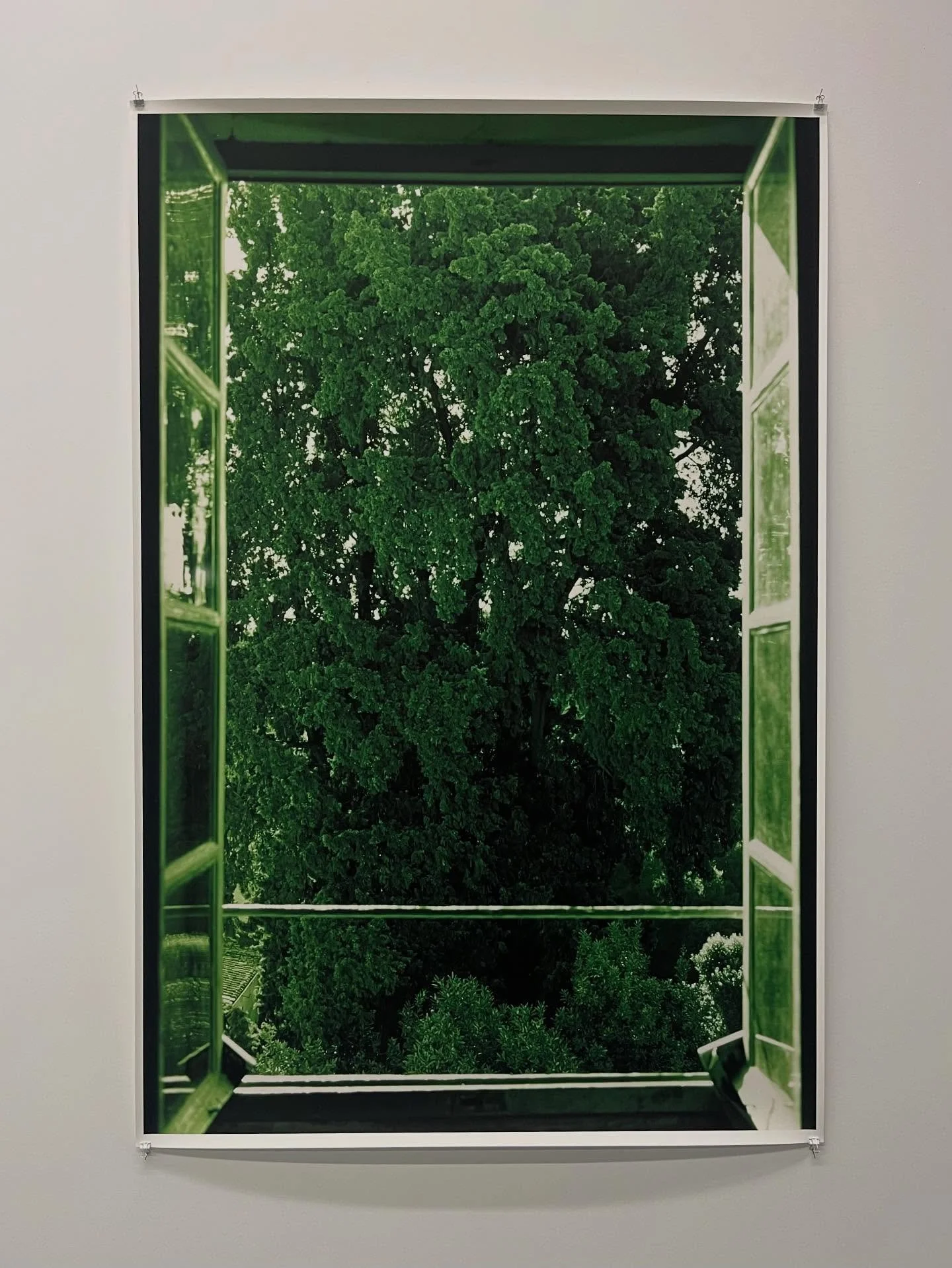 Last days!
The retrospective exhibition Wolfgang Tillmans: Rien de nous y pr&eacute;parait &ndash; Tout nous y pr&eacute;parait spans more than thirty-five years of artistic practice across diverse photographic genres, including portraiture, still li