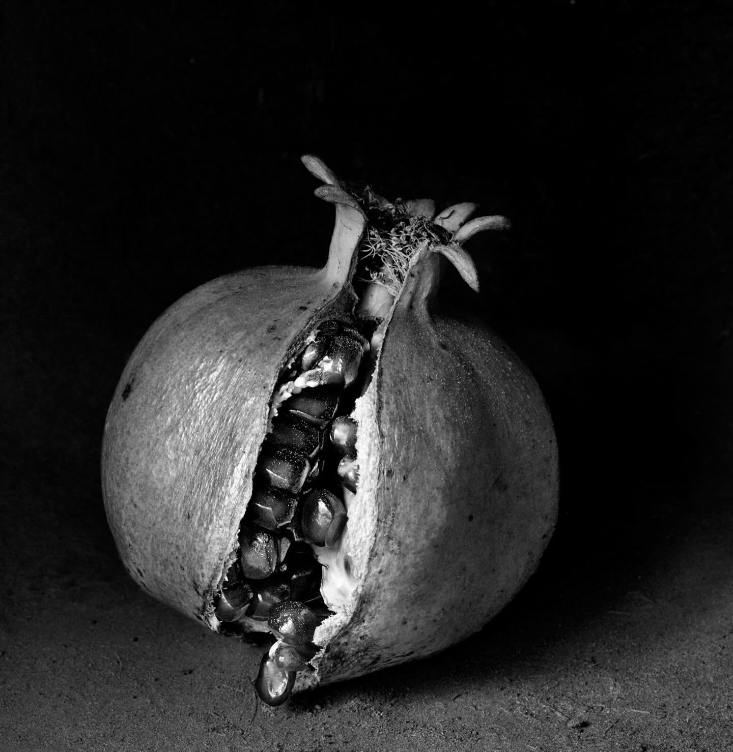 I&rsquo;m delighted that the work of the remarkable Mexican photographer Flor Gardu&ntilde;o is entering esteemed collections in Paris. @florgardunophoto @galeriesophiescheidecker