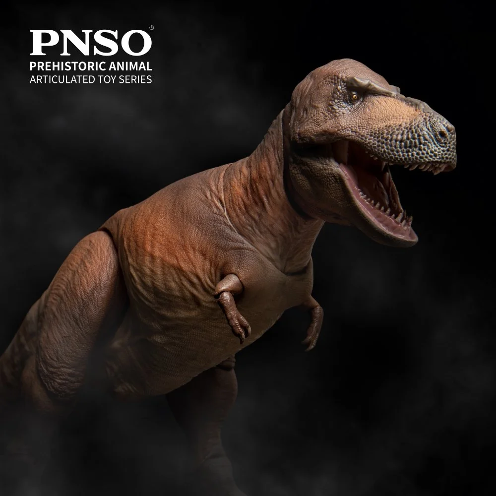 Front three-quarter view of PNSO articulated Cameron Tyrannosaurus rex showing the head and upper body.