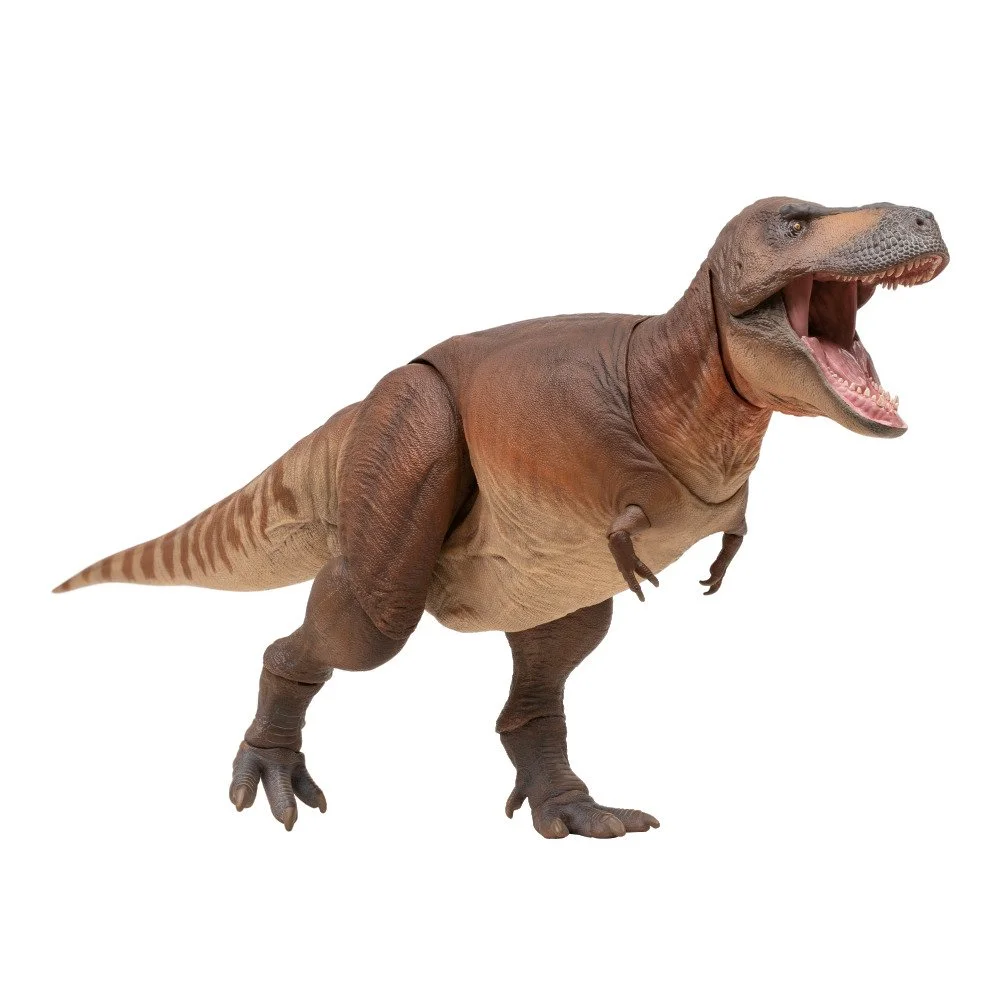 PNSO articulated Cameron Tyrannosaurus rex model