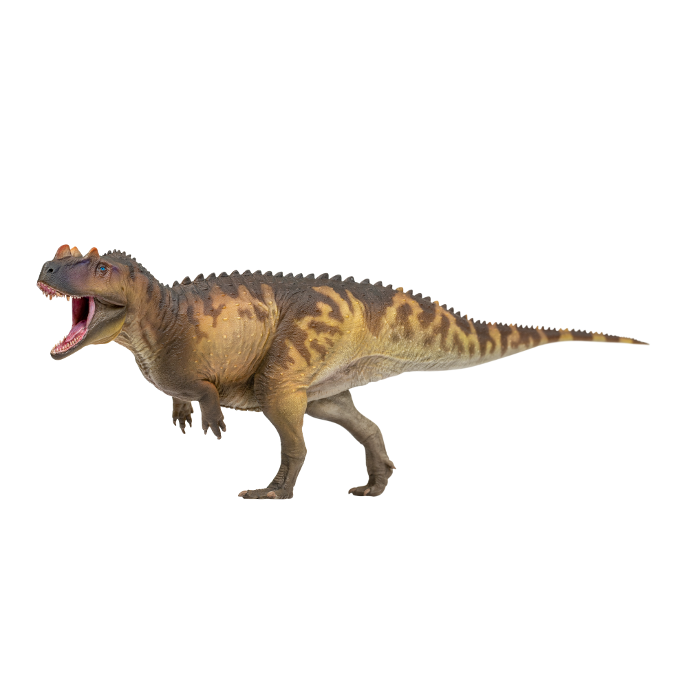 Meet 98 Nick the Ceratosaurus
