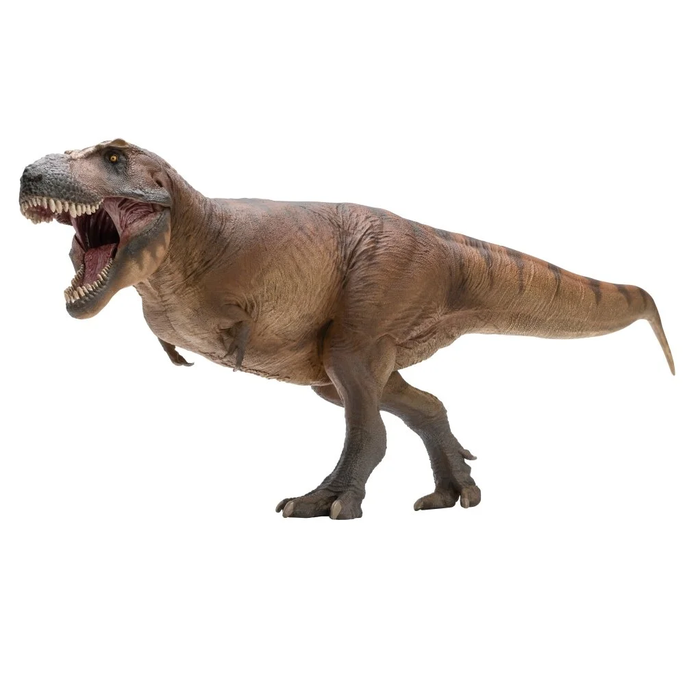 PNSO Dinosaur Museums Series Cameron Tyrannosaurus rex model