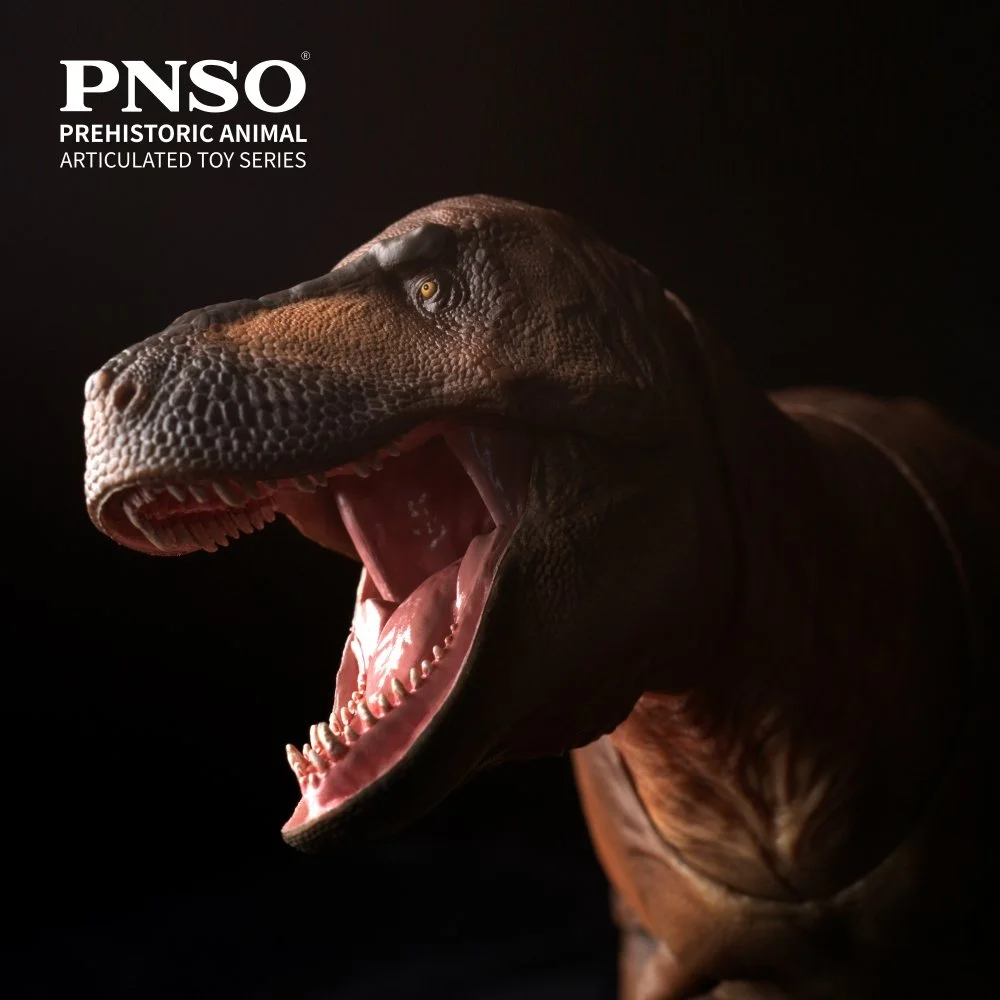 Close-up of PNSO articulated Cameron Tyrannosaurus rex with open jaws and visible teeth.