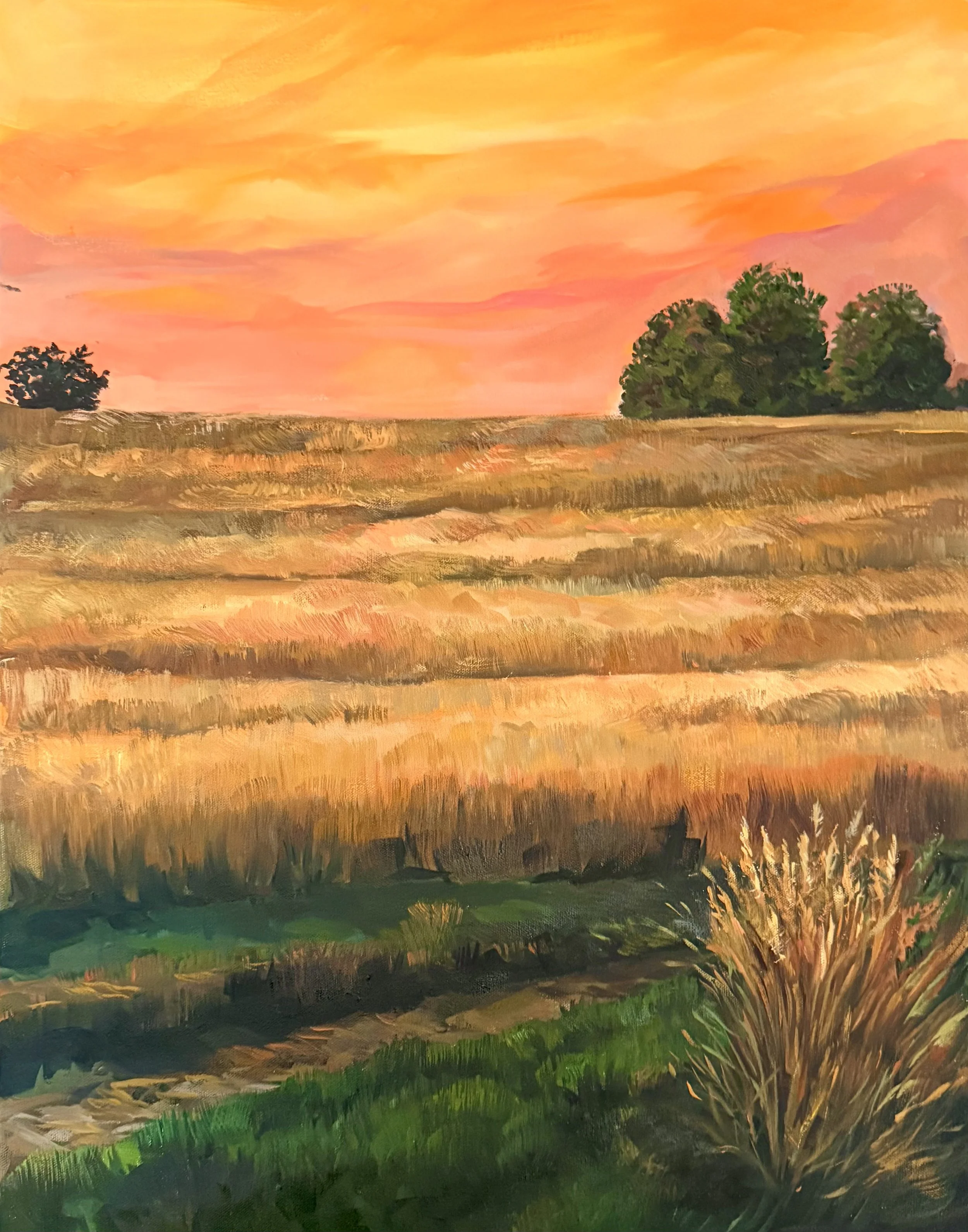 "Glowing Sky Over Wheat Field"