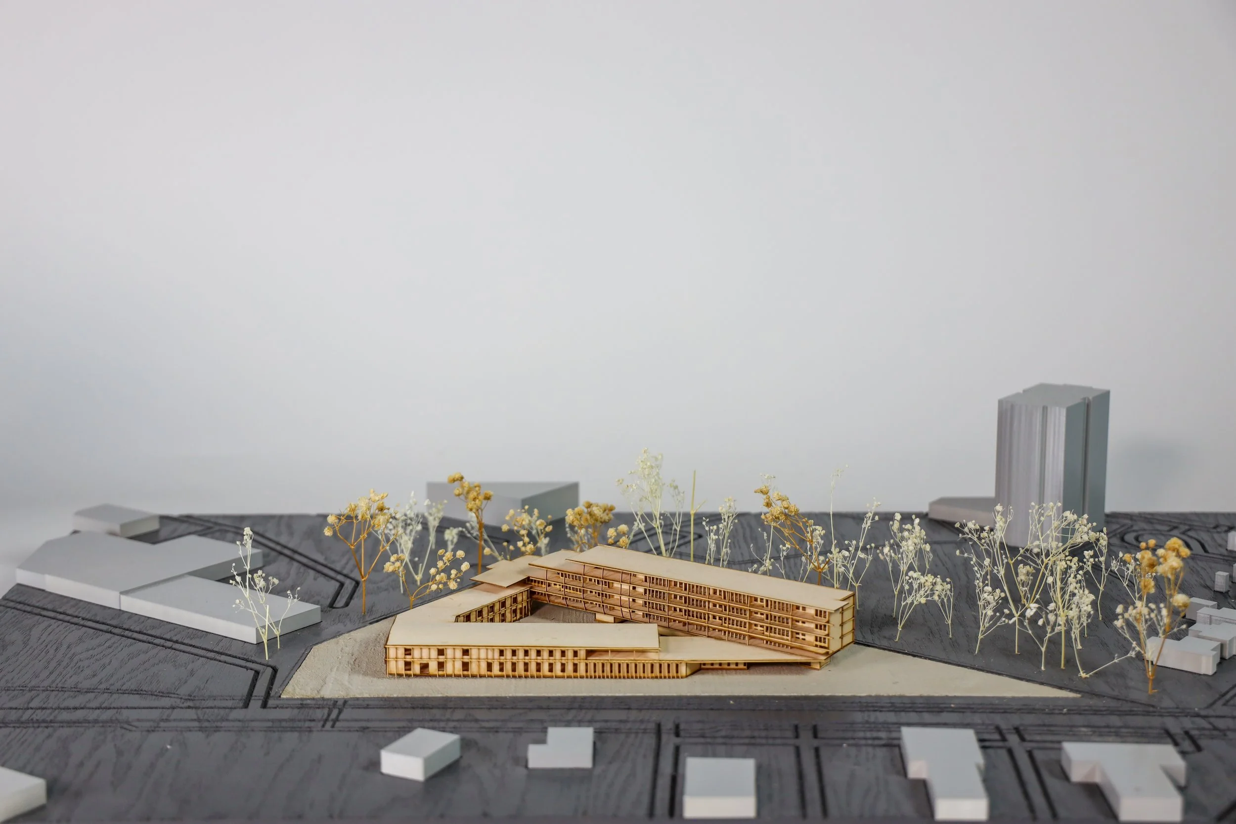 insert model front view.jpg