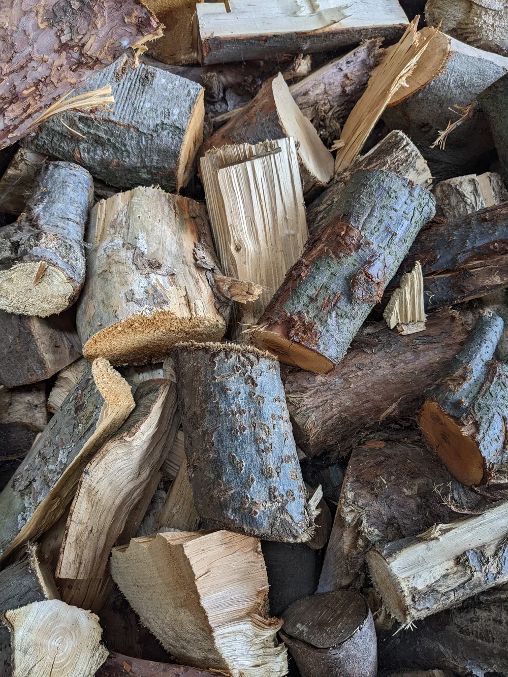 Barn dried mixed logs loose (softwood u0026 hardwood) — Gray Tree Services