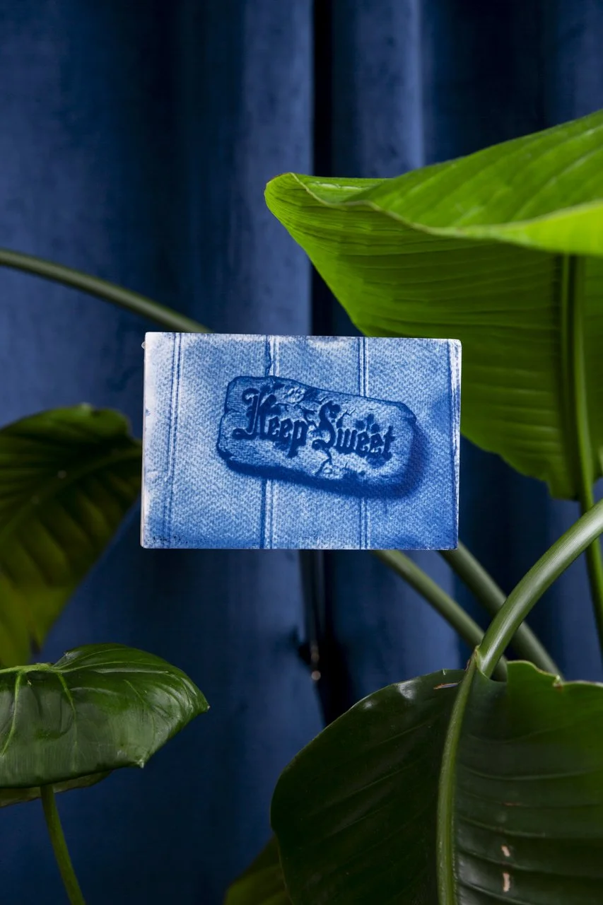cyanotype-2026-5.jpg