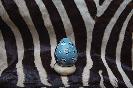 nikisiegg2 small.gif