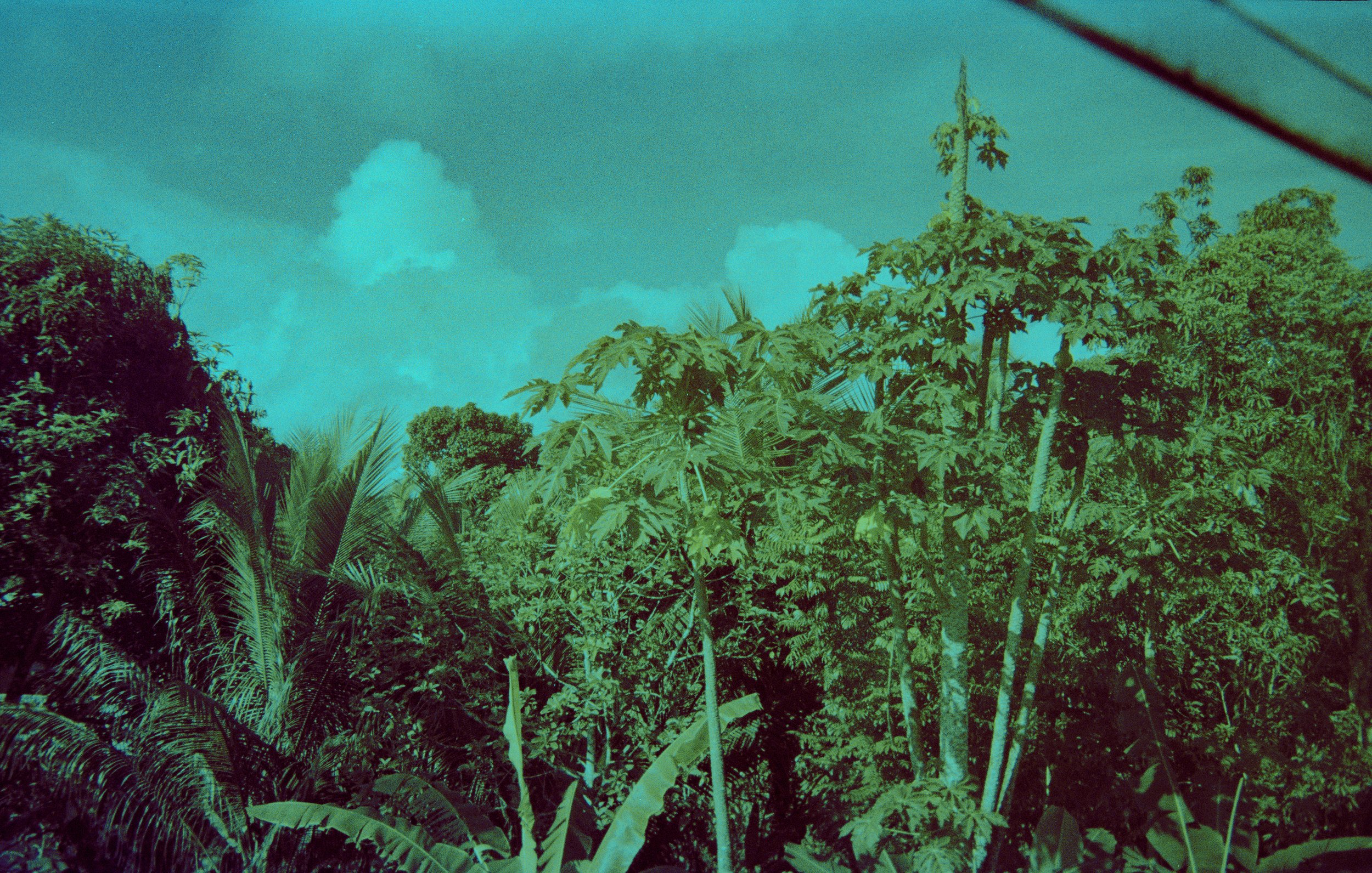 behind-god-back-14x9 copy.jpeg