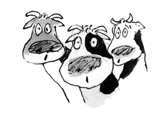 Harnham's own Jackanory - Day 21