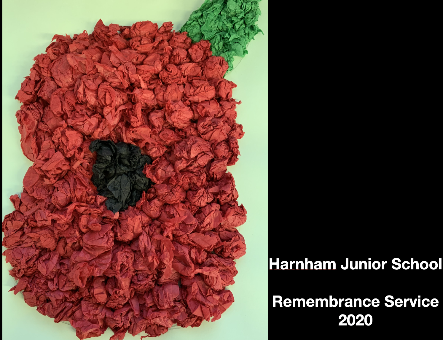 Remembrance at Harnham Junior School