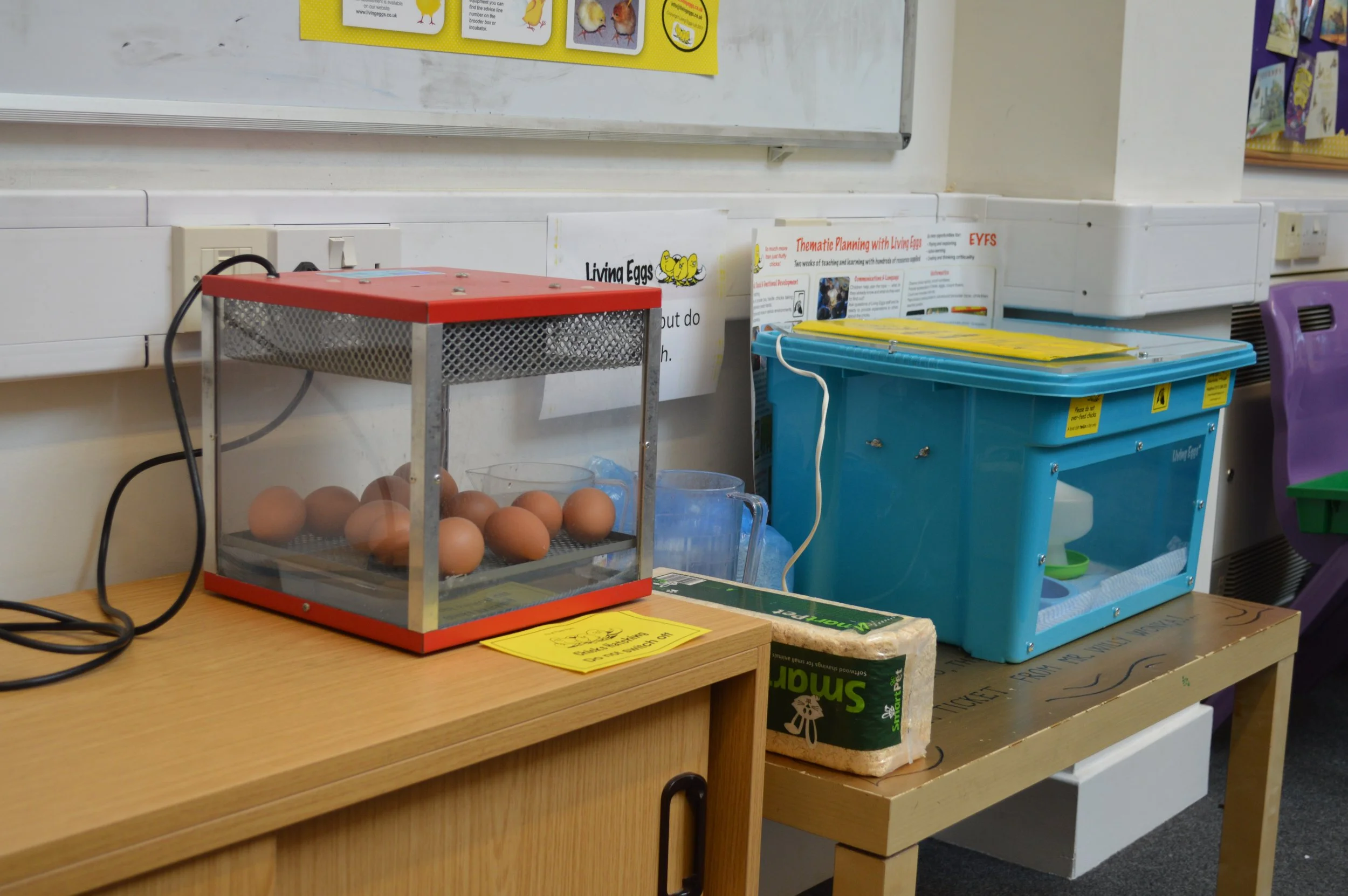 Living Eggs in our Library