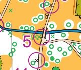 Orienteering at Dinton Park