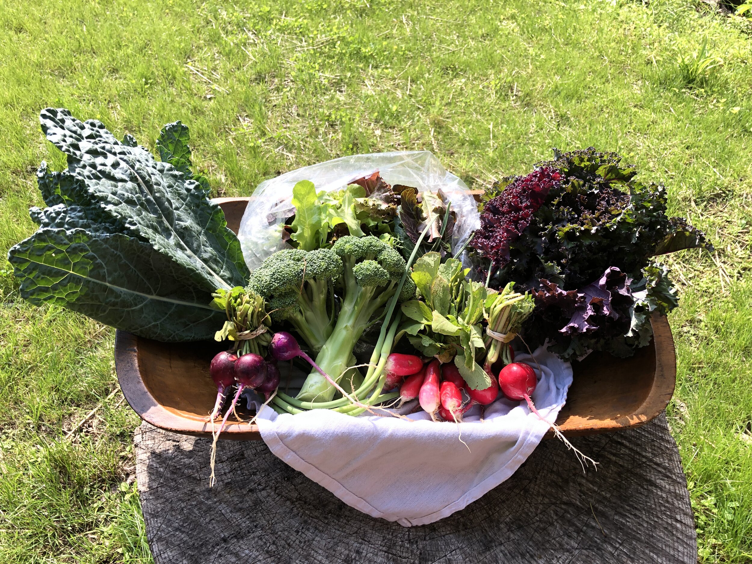 One of our June CSA boxes from 2019. Photo taken by our customer Anne Bloomfield.
