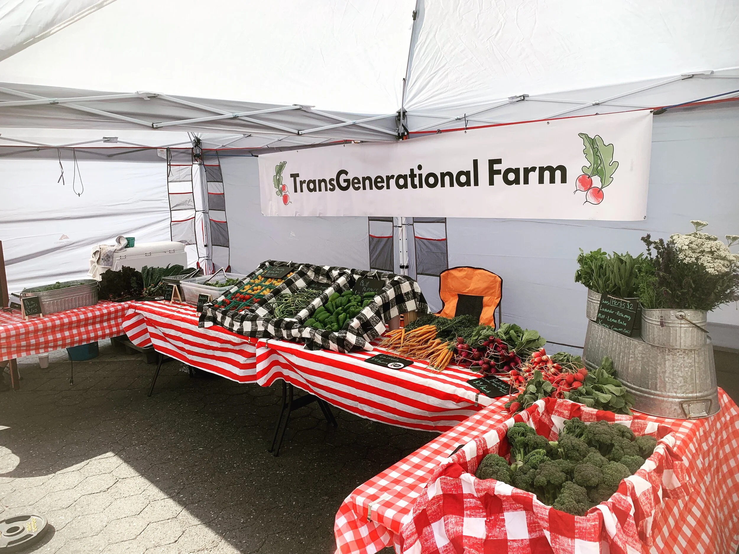 Our market stand at the Union Square Green Market